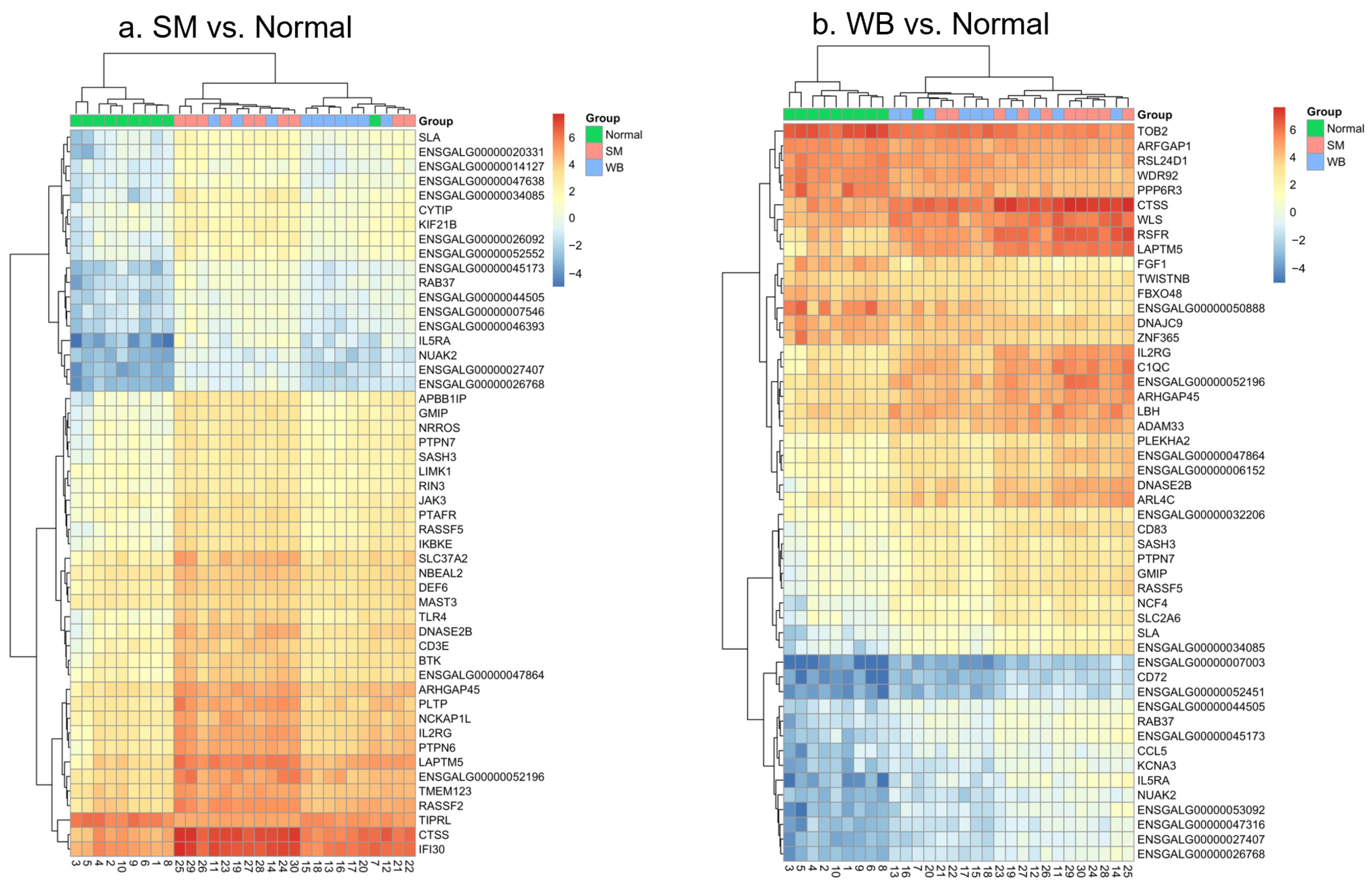 Animals 14 00176 g004