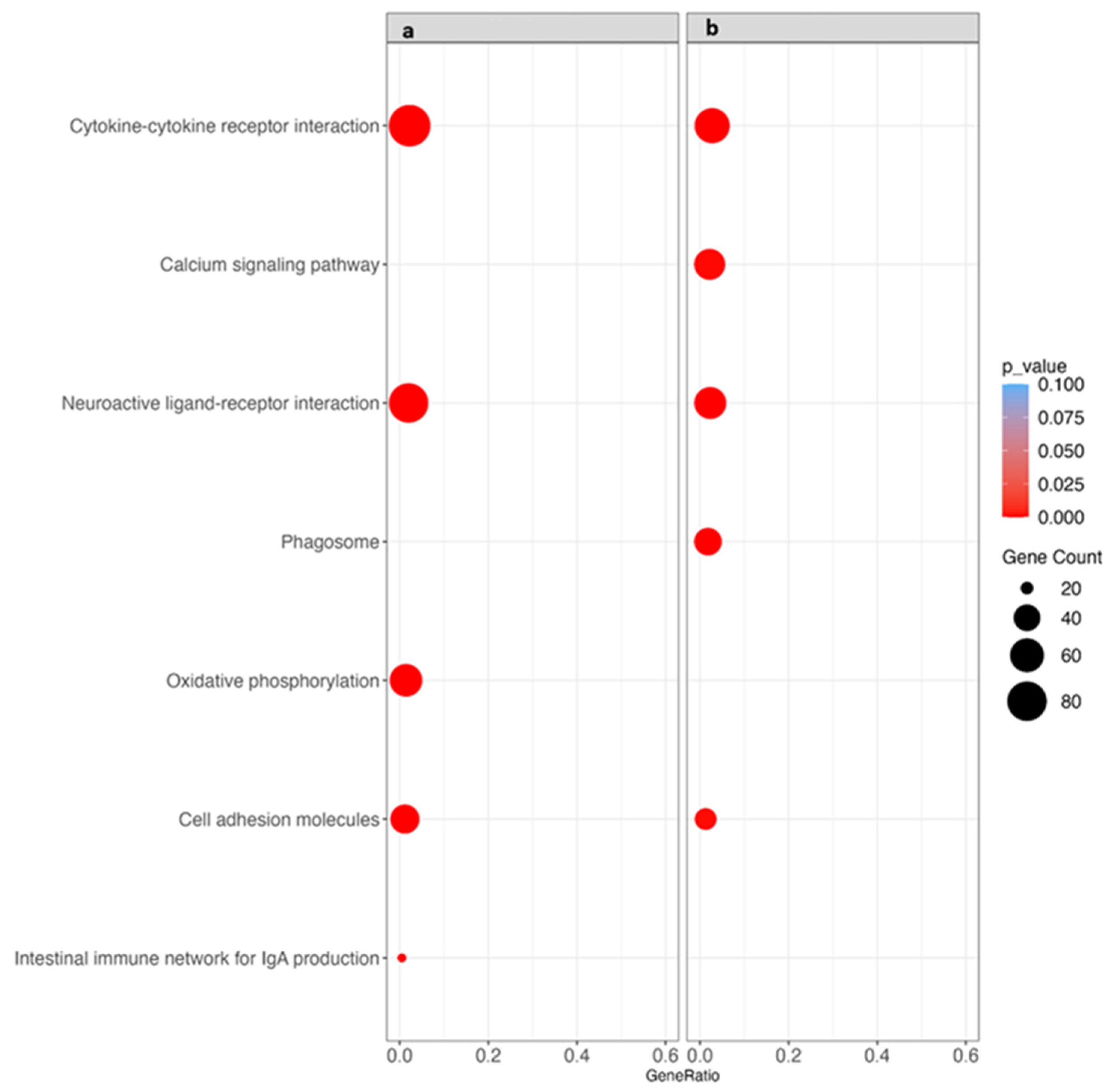 Animals 14 00176 g006