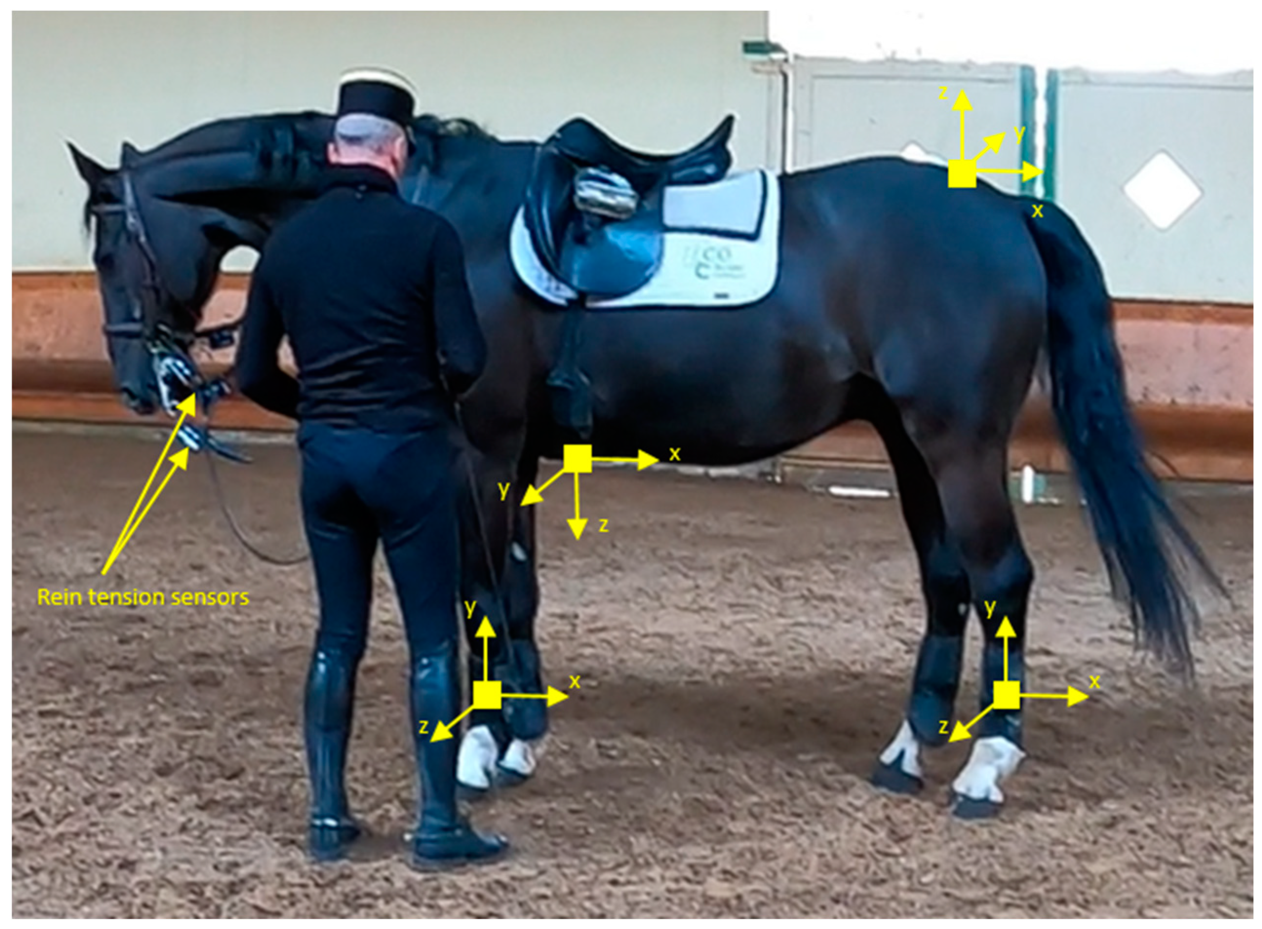 Animals 14 00189 g001