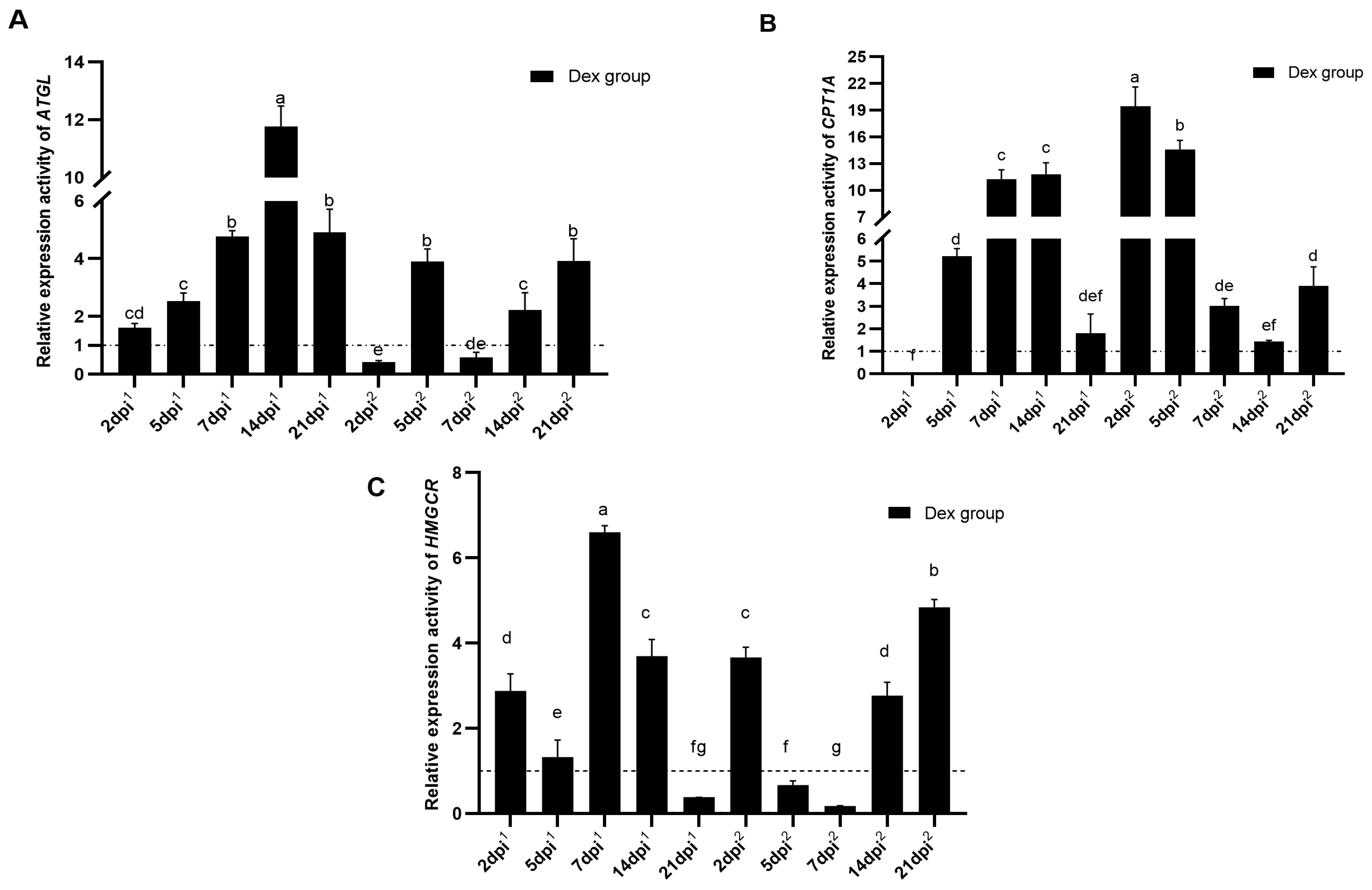 Animals 14 00225 g002