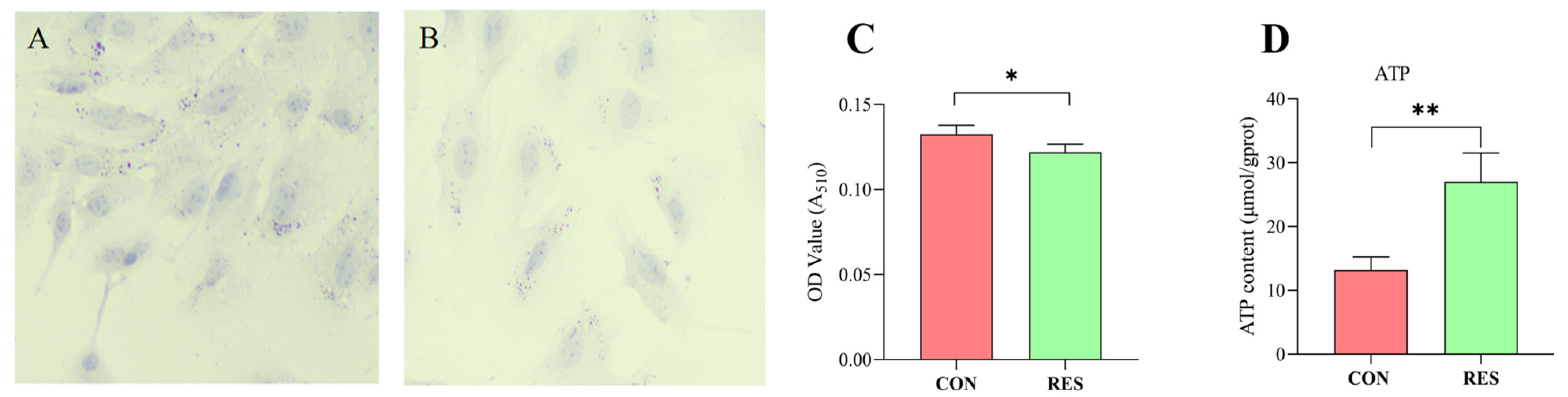 Animals 14 00240 g006