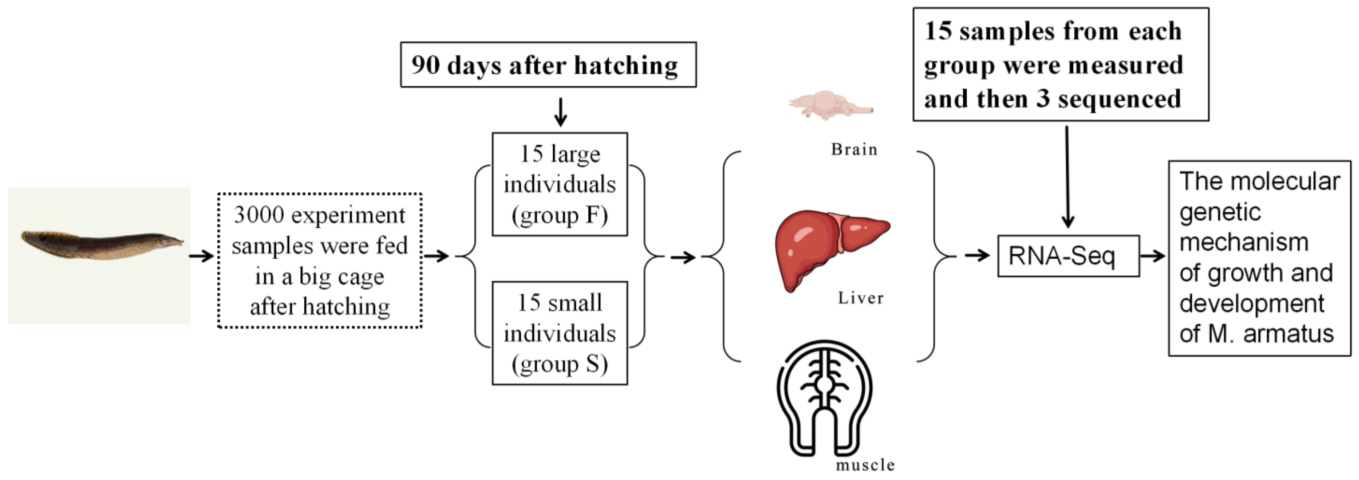 Animals 14 00248 g001