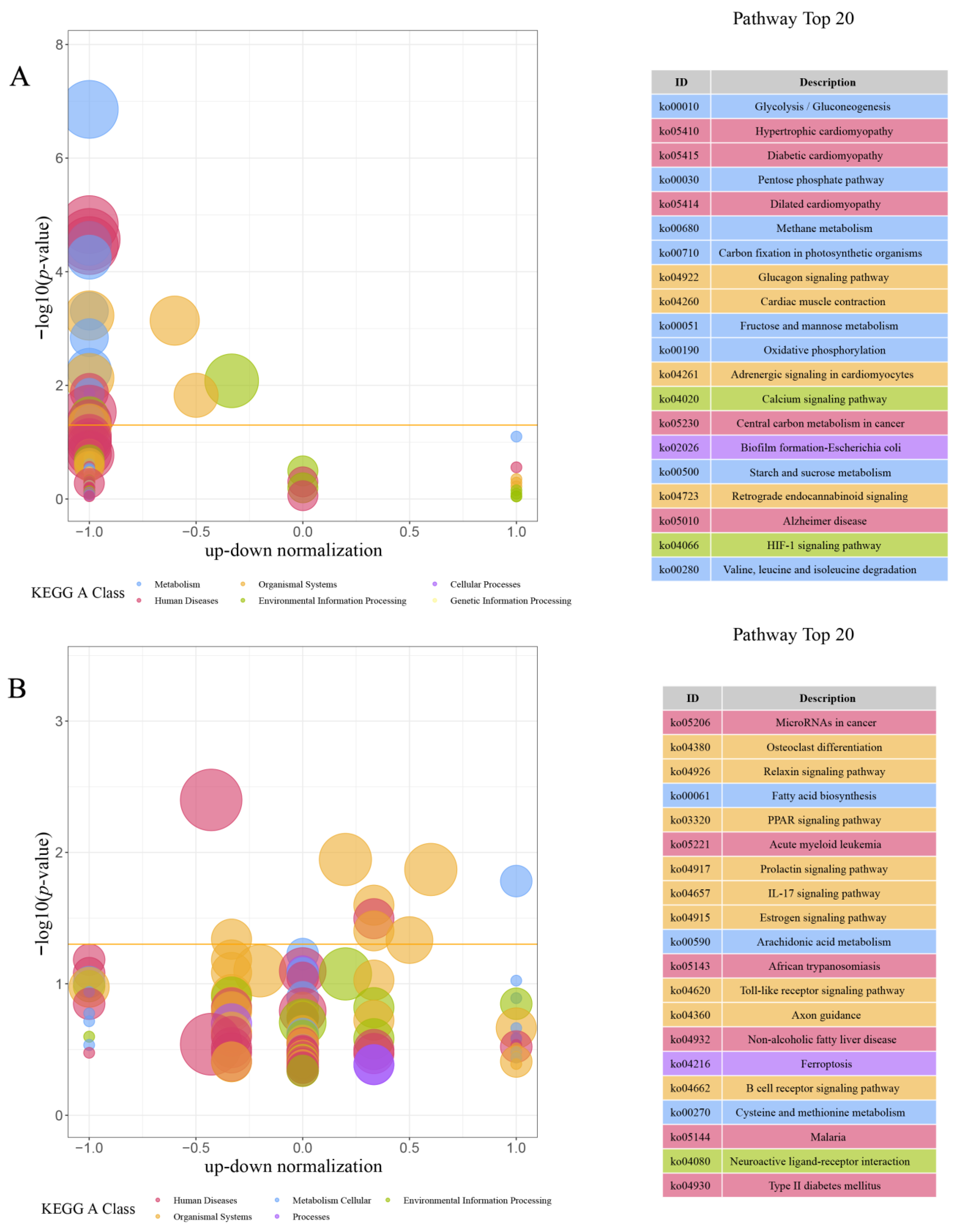 Animals 14 00248 g007a