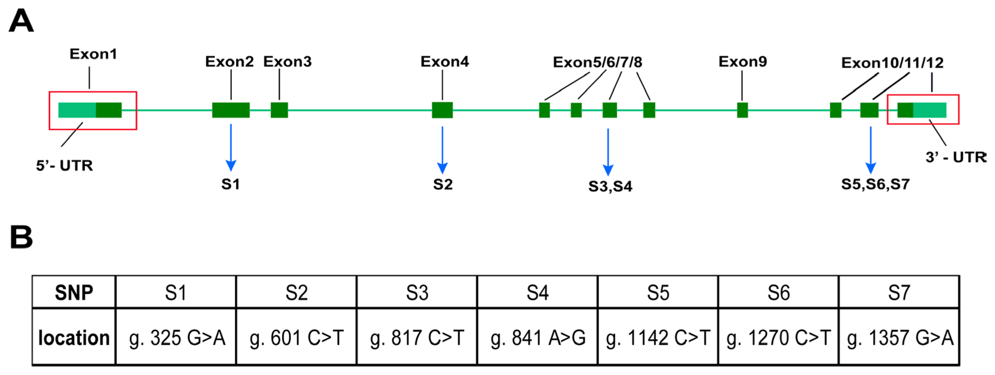 Animals 14 00266 g002