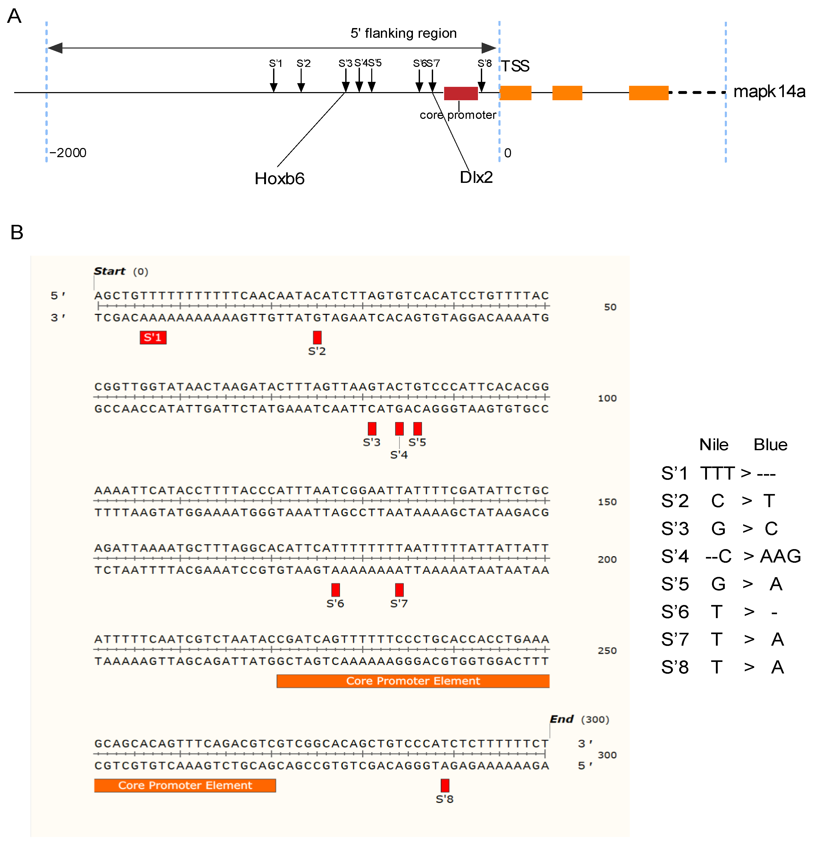 Animals 14 00266 g006
