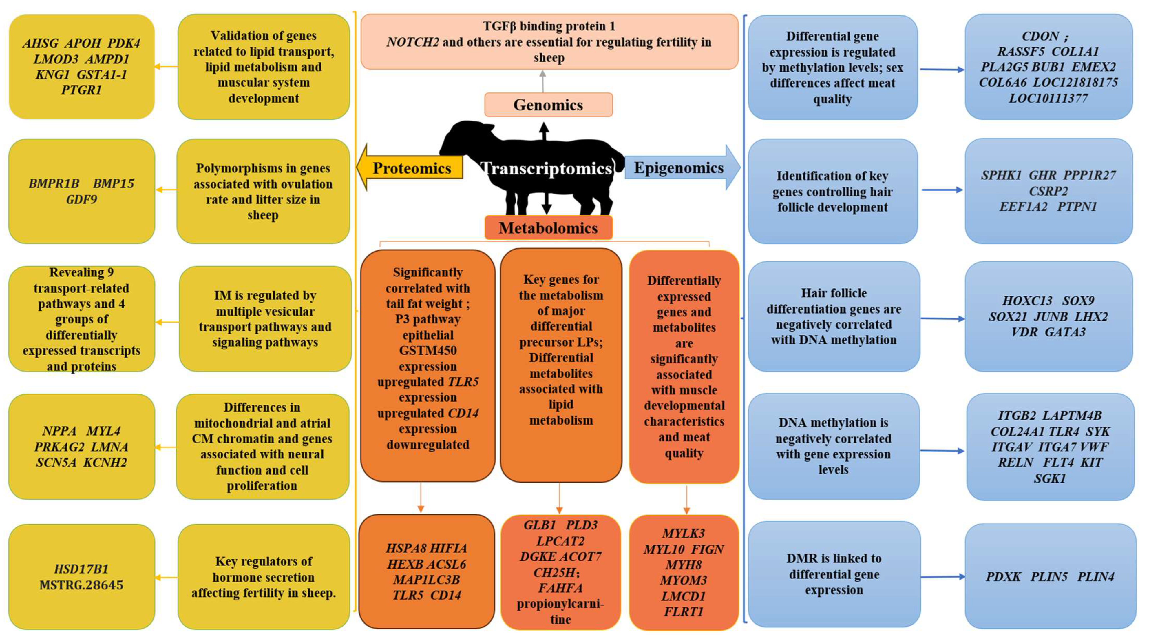 Animals 14 00273 g002 Animals 14 00273 g002