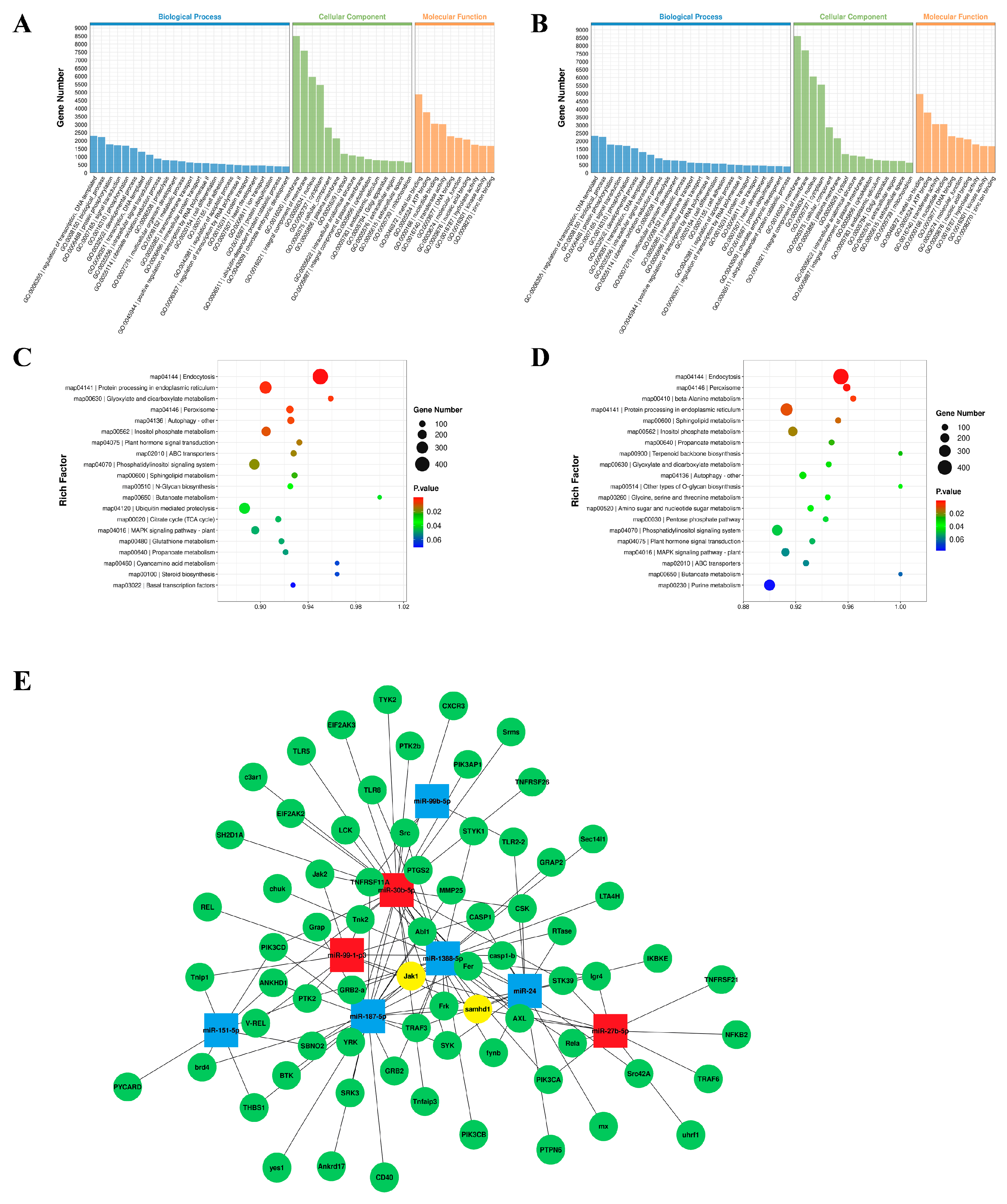 Animals 14 00285 g003