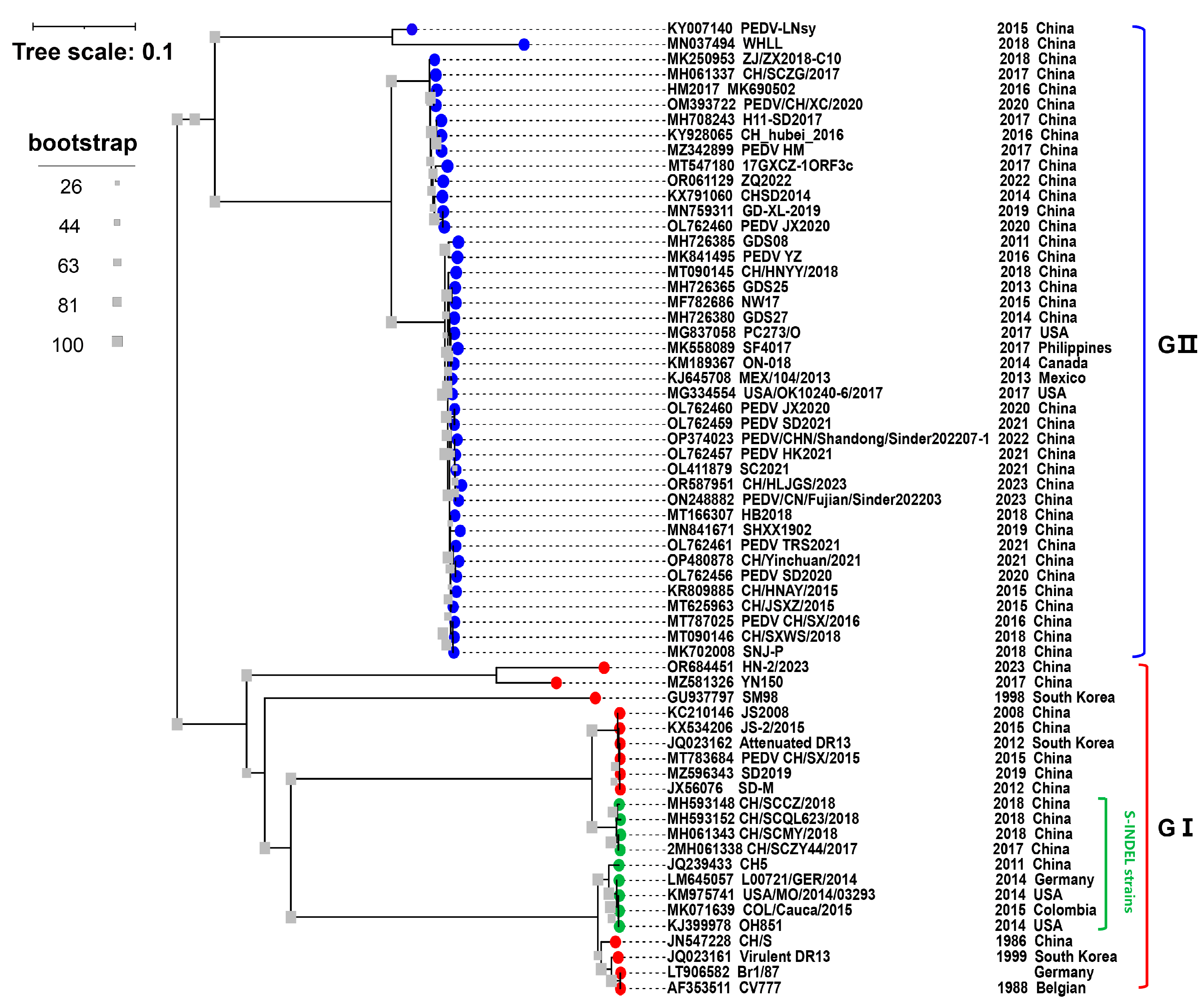 Animals 14 00294 g001
