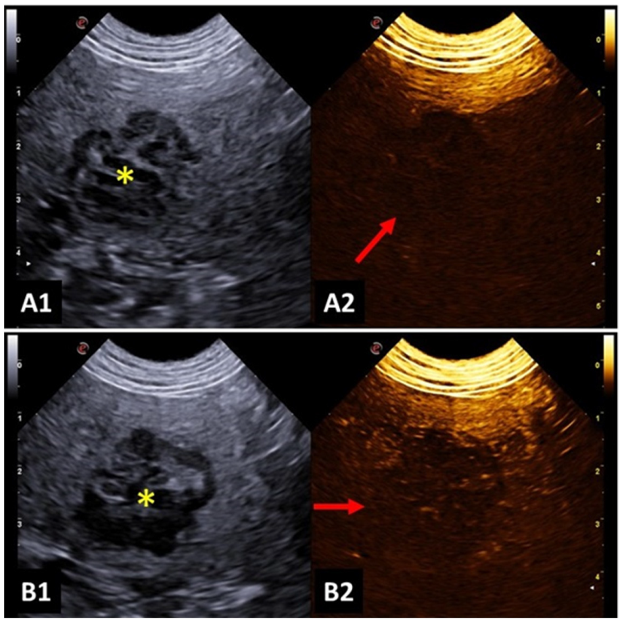 Animals 14 00312 g003 Animals 14 00312 g003