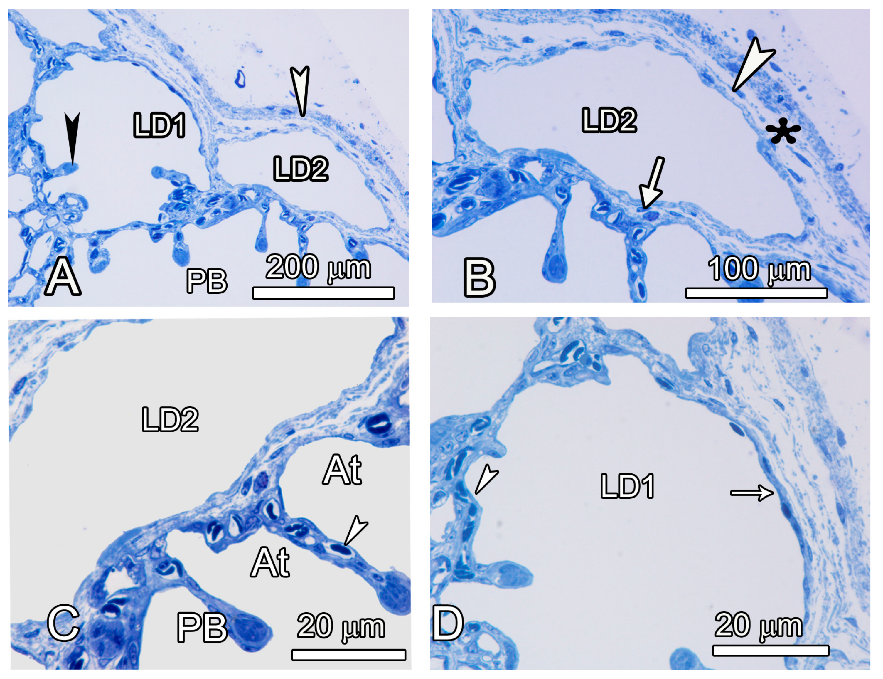 Animals 14 00316 g005