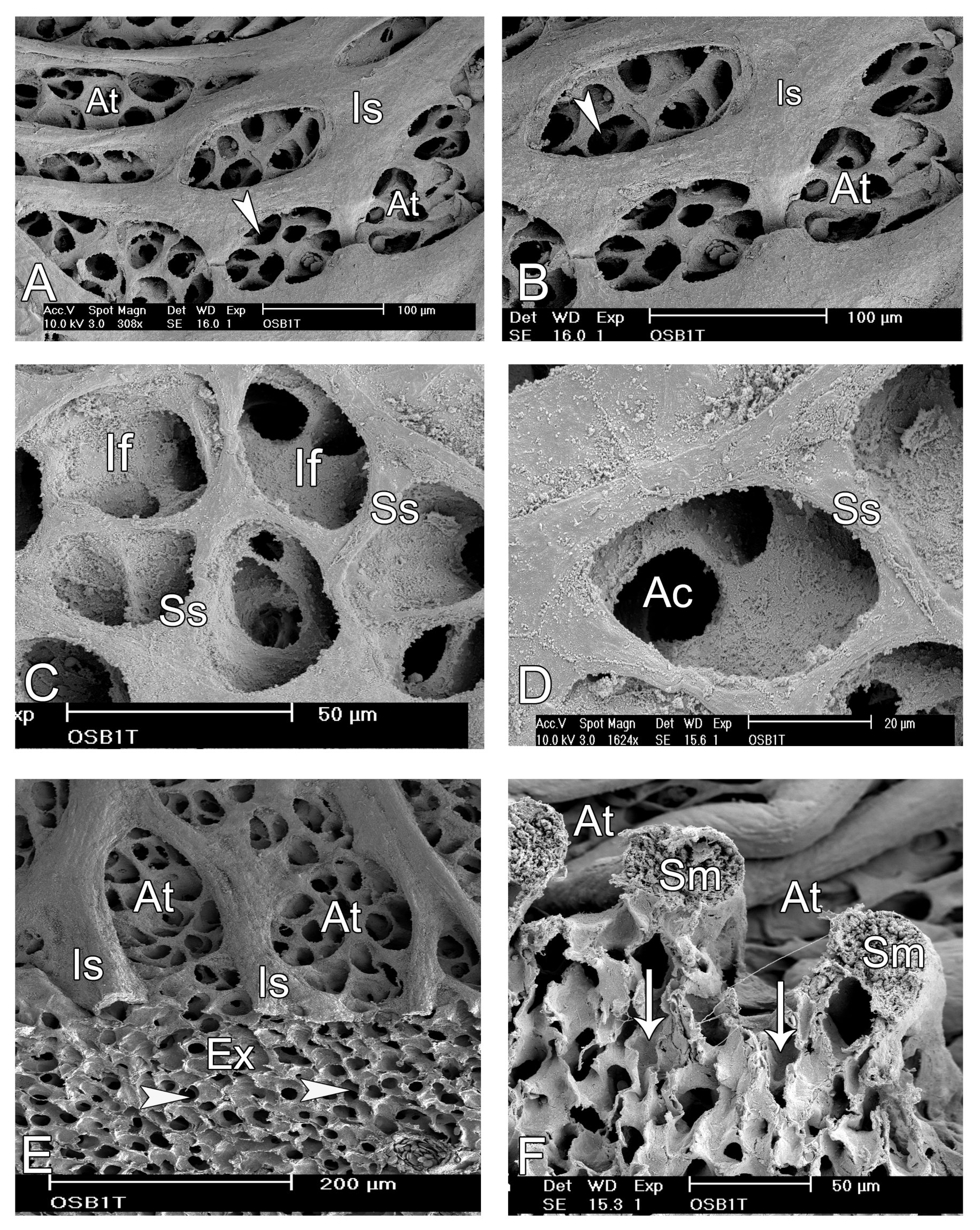 Animals 14 00316 g007