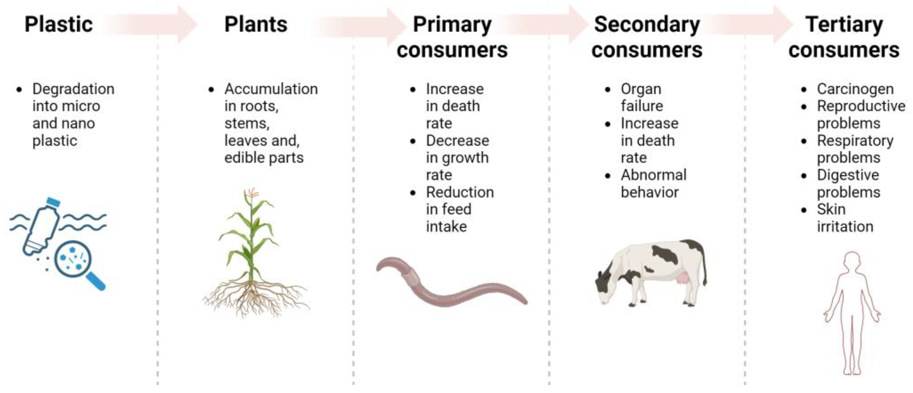 Animals 14 00350 g001