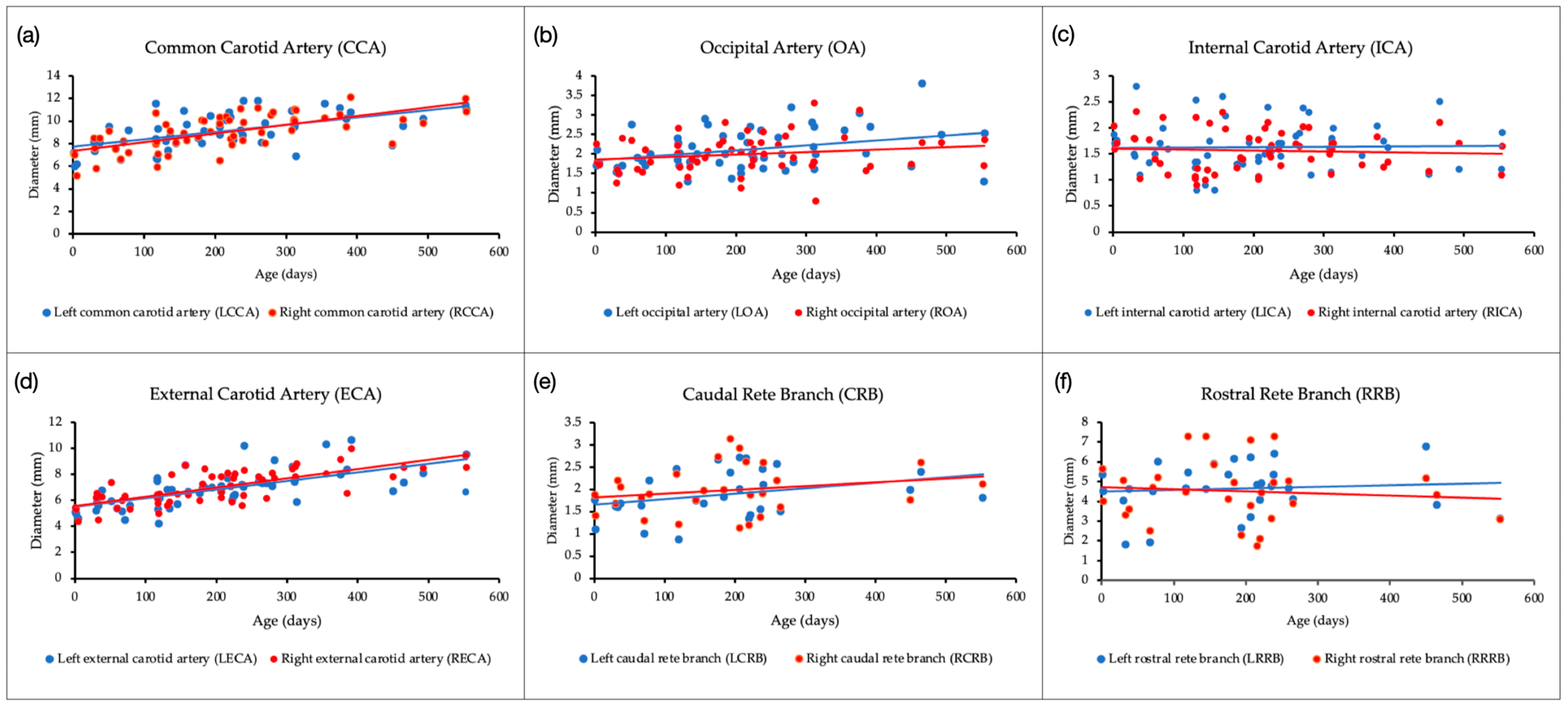 Animals 14 00365 g002 Animals 14 00365 g002