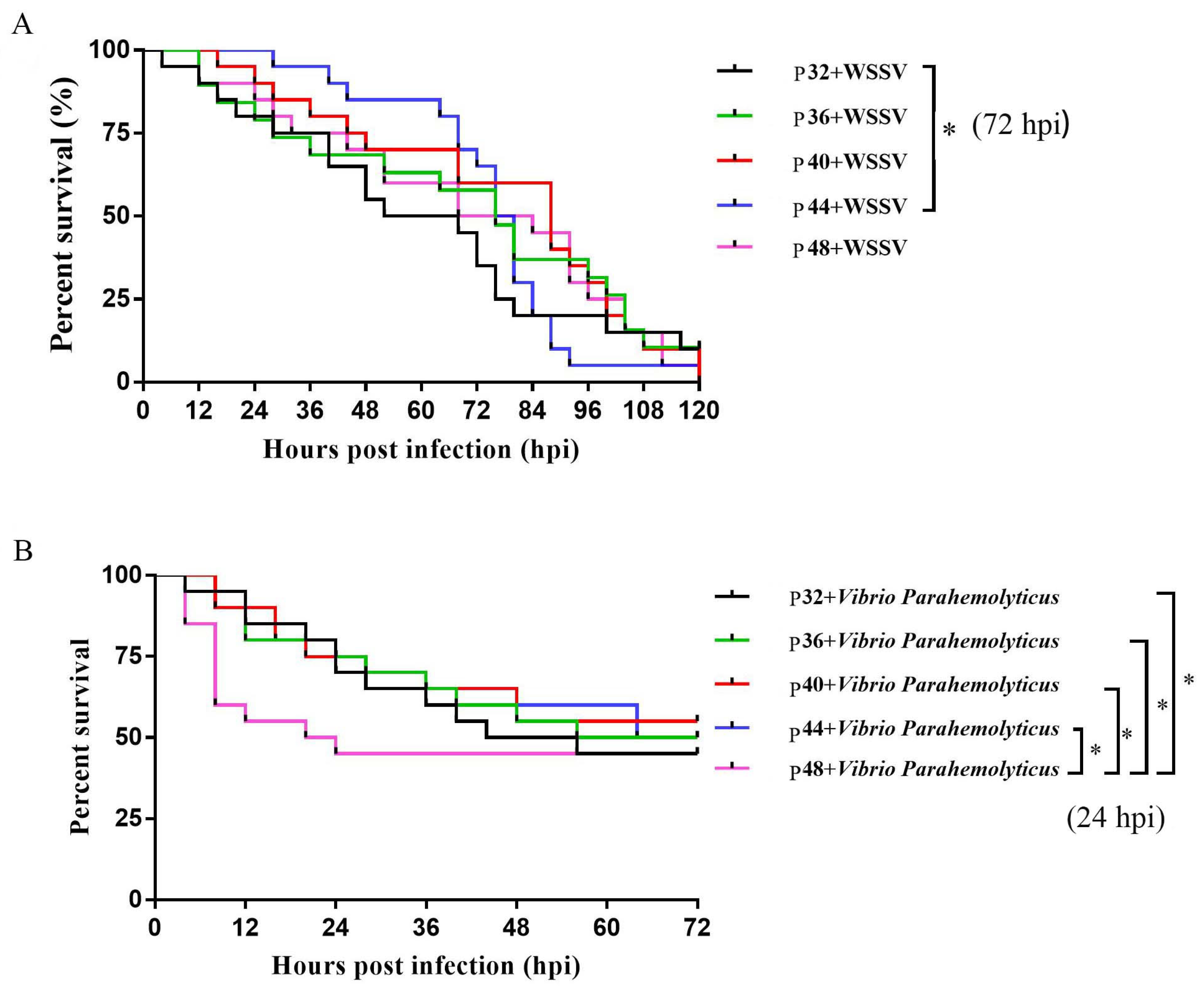 Animals 14 00372 g001 Animals 14 00372 g001