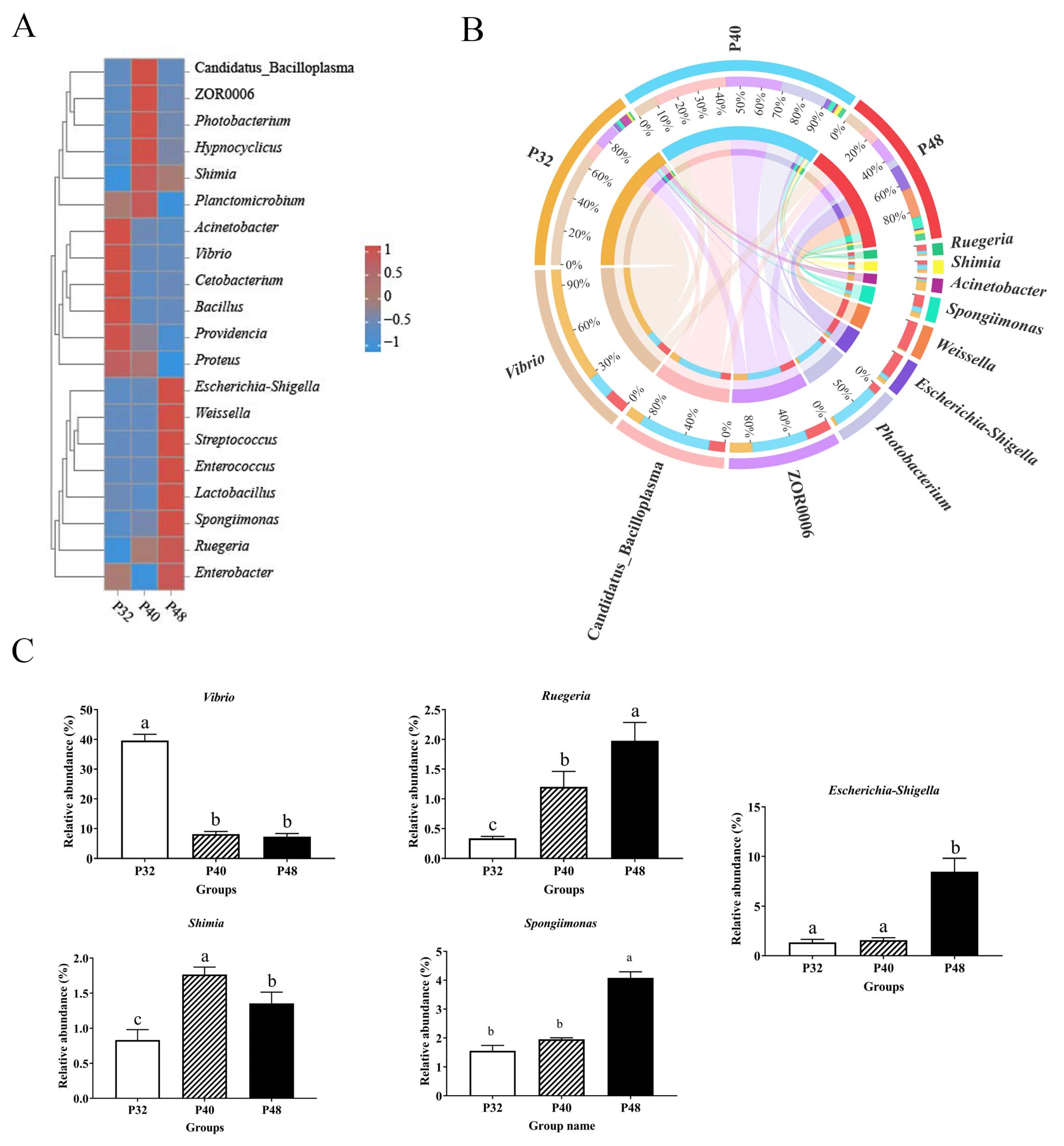 Animals 14 00372 g006 Animals 14 00372 g006