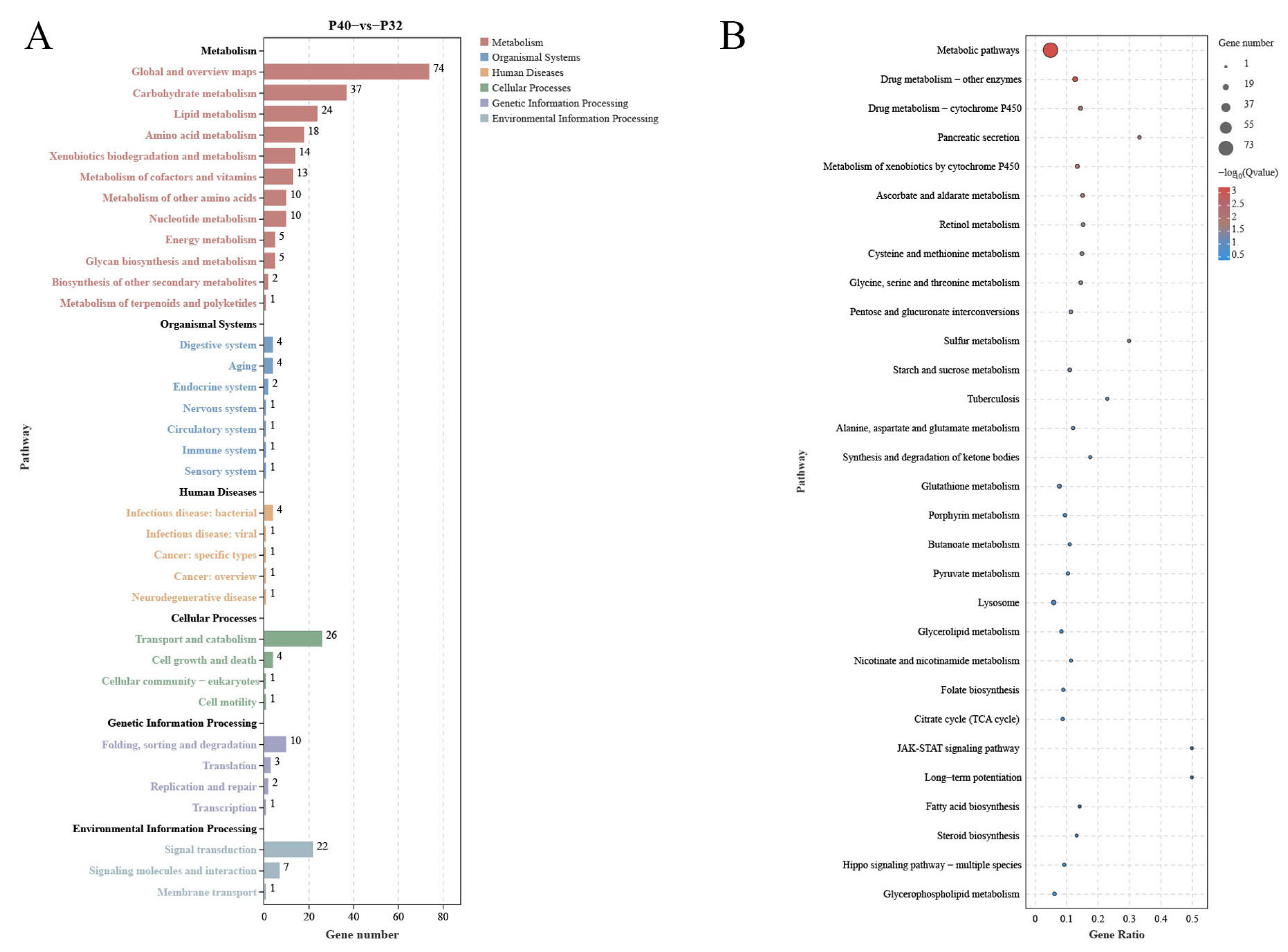 Animals 14 00372 g008 Animals 14 00372 g008