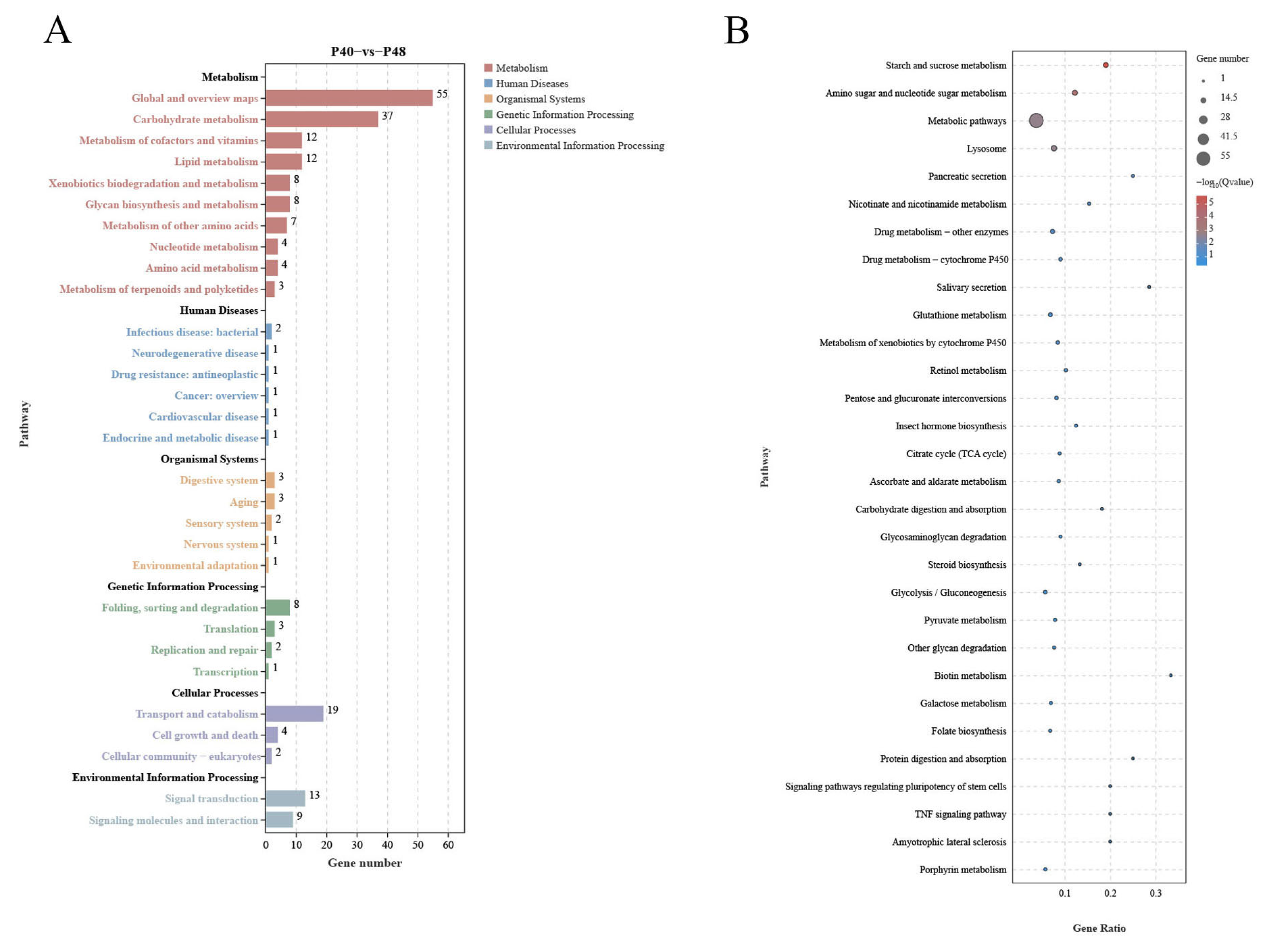 Animals 14 00372 g009 Animals 14 00372 g009
