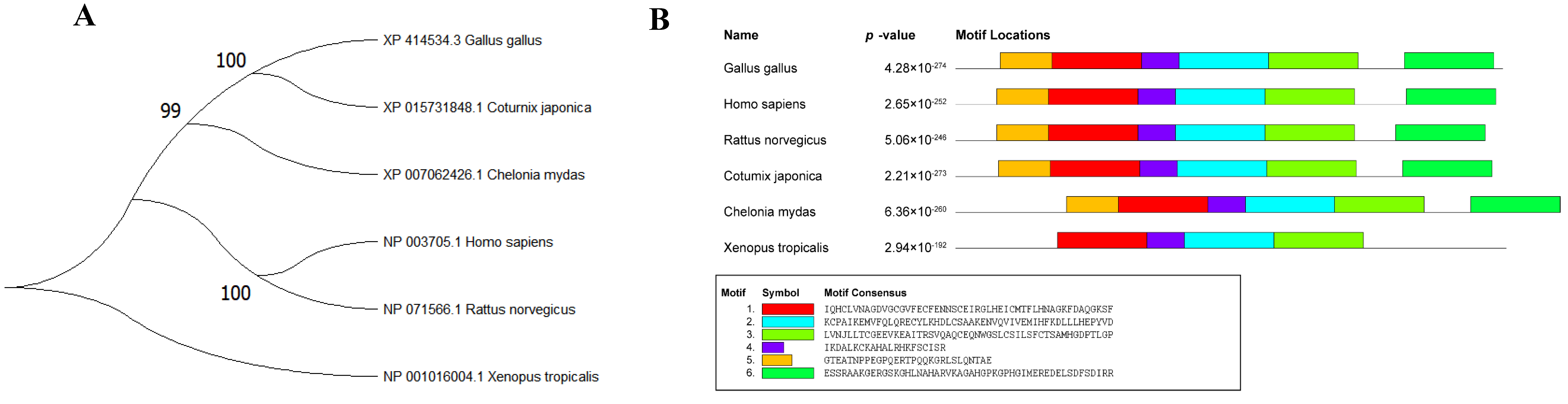 Animals 14 00383 g001