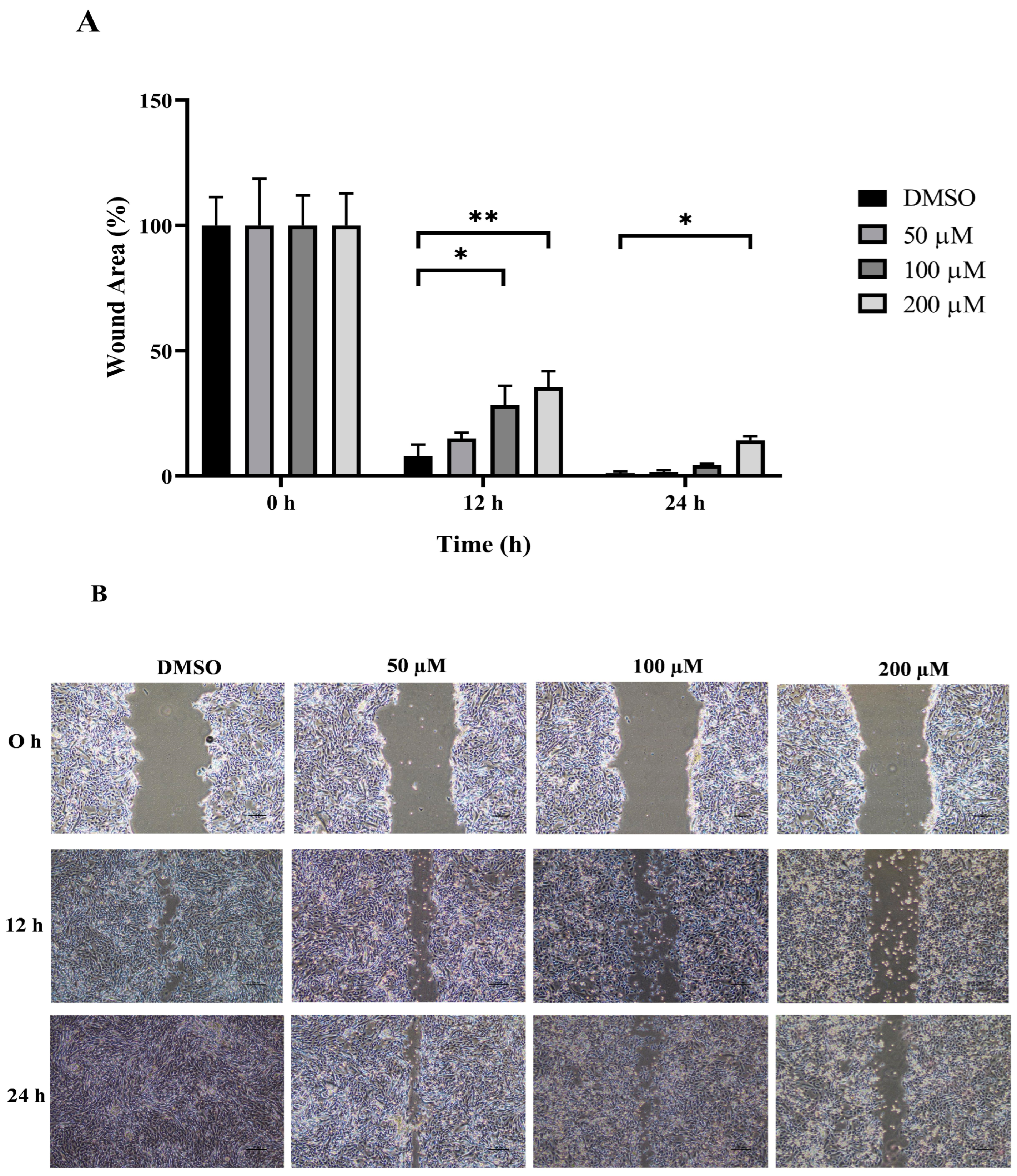 Animals 14 00386 g005