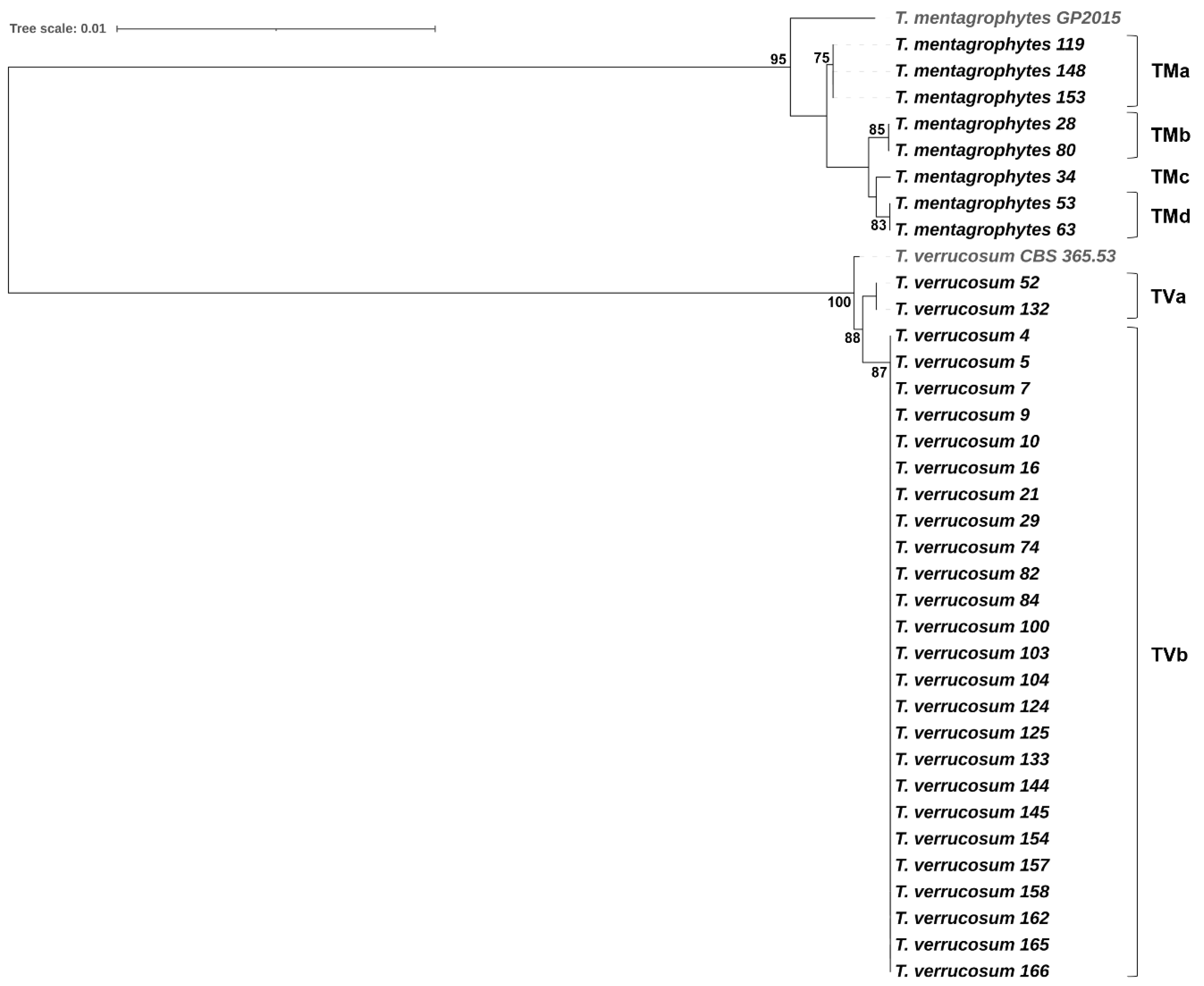 Animals 14 00390 g003