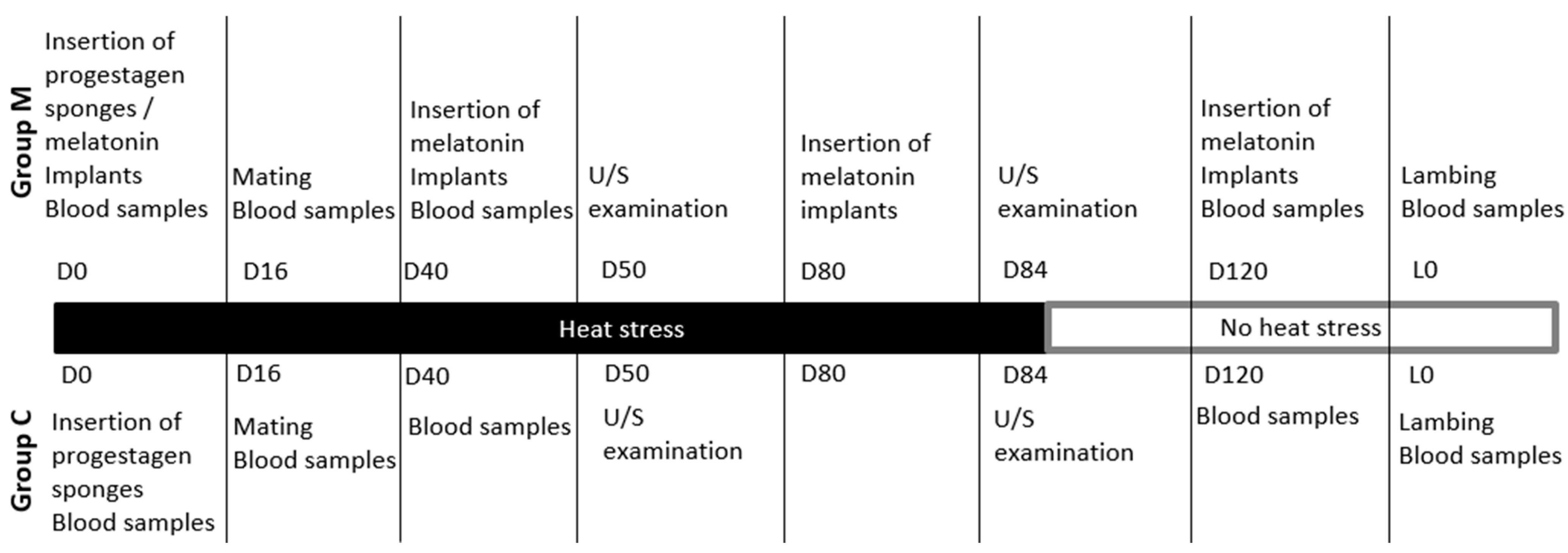 Animals 14 00400 g001