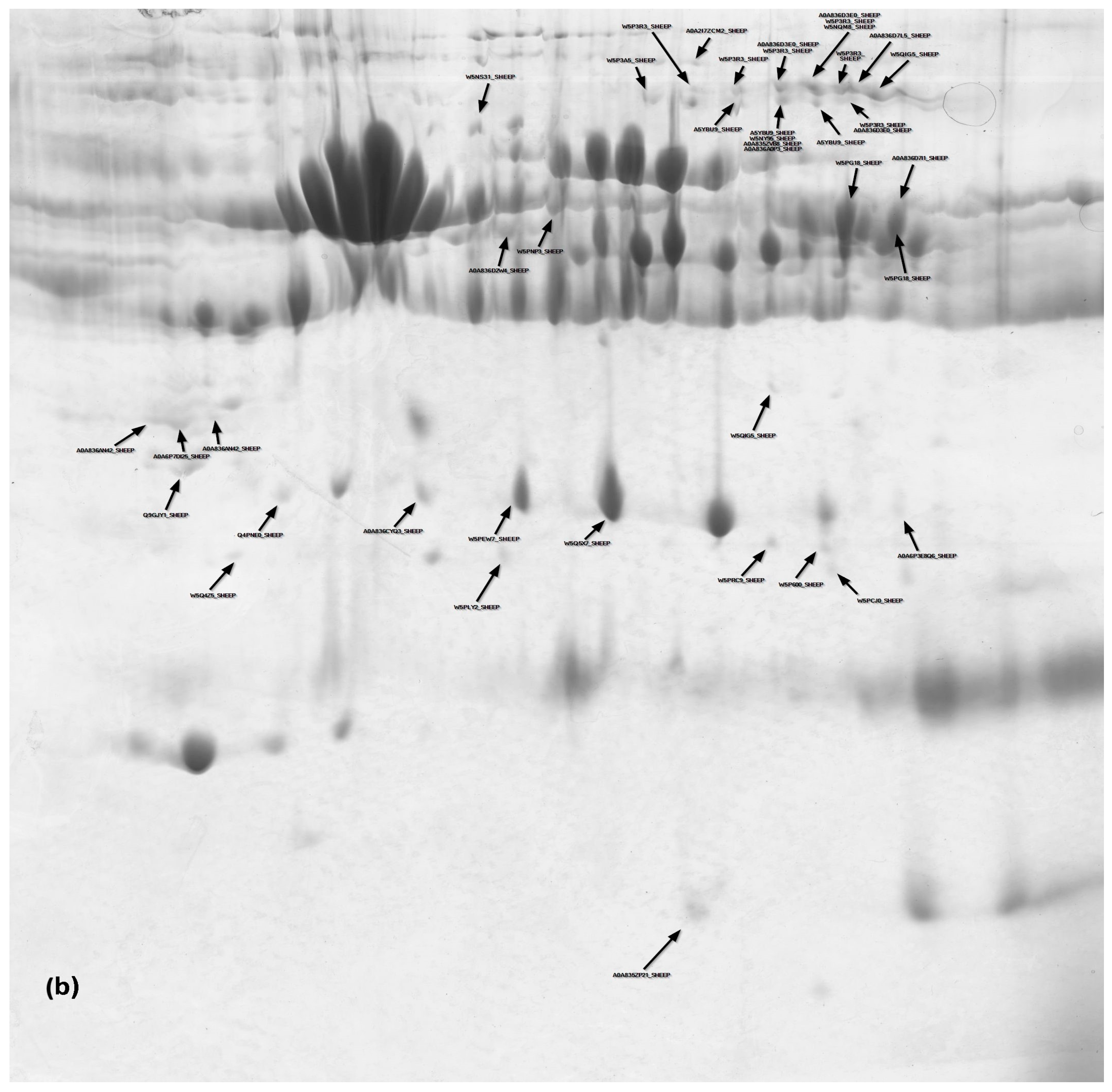 Animals 14 00400 g003b