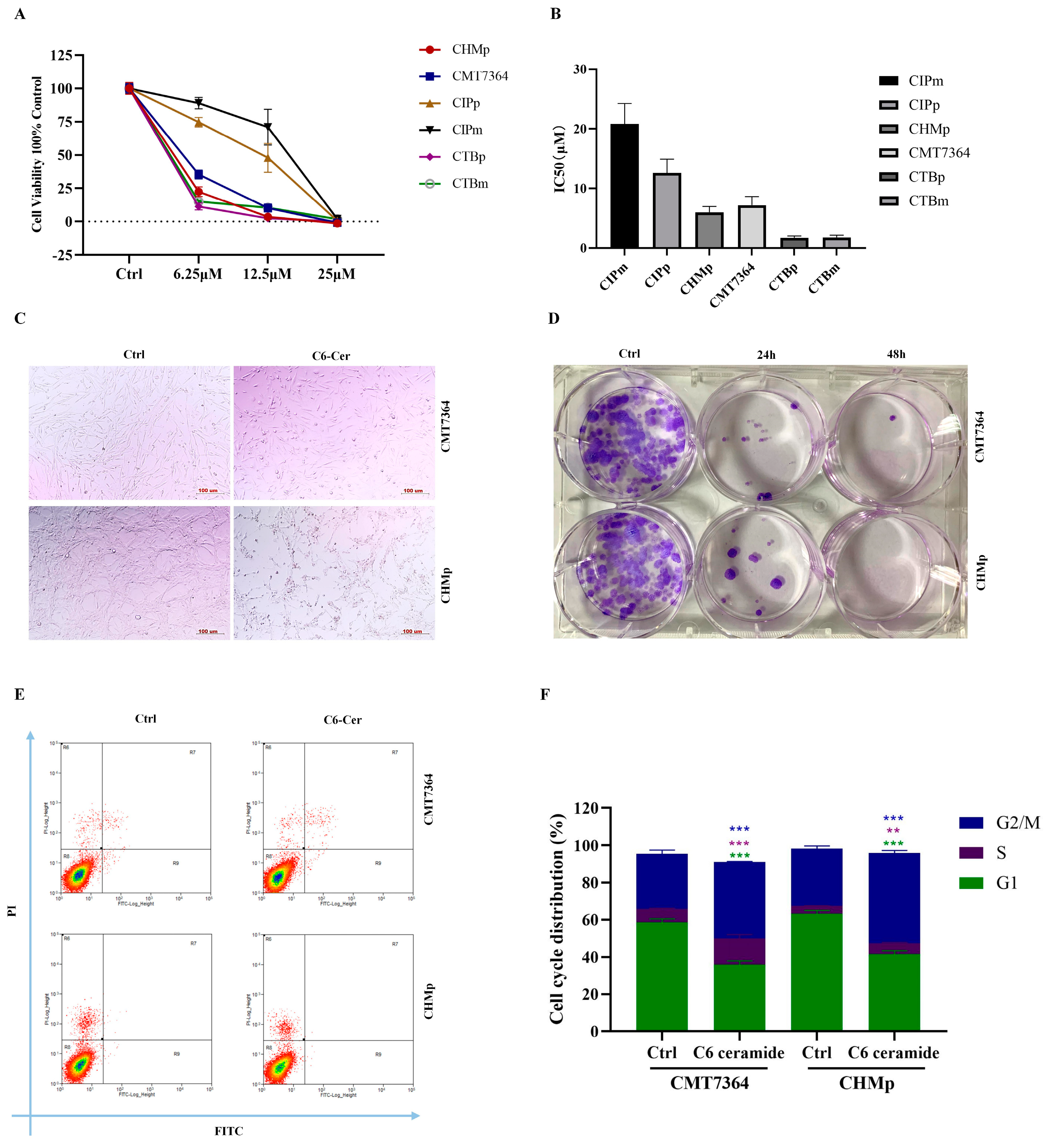 Animals 14 00422 g001