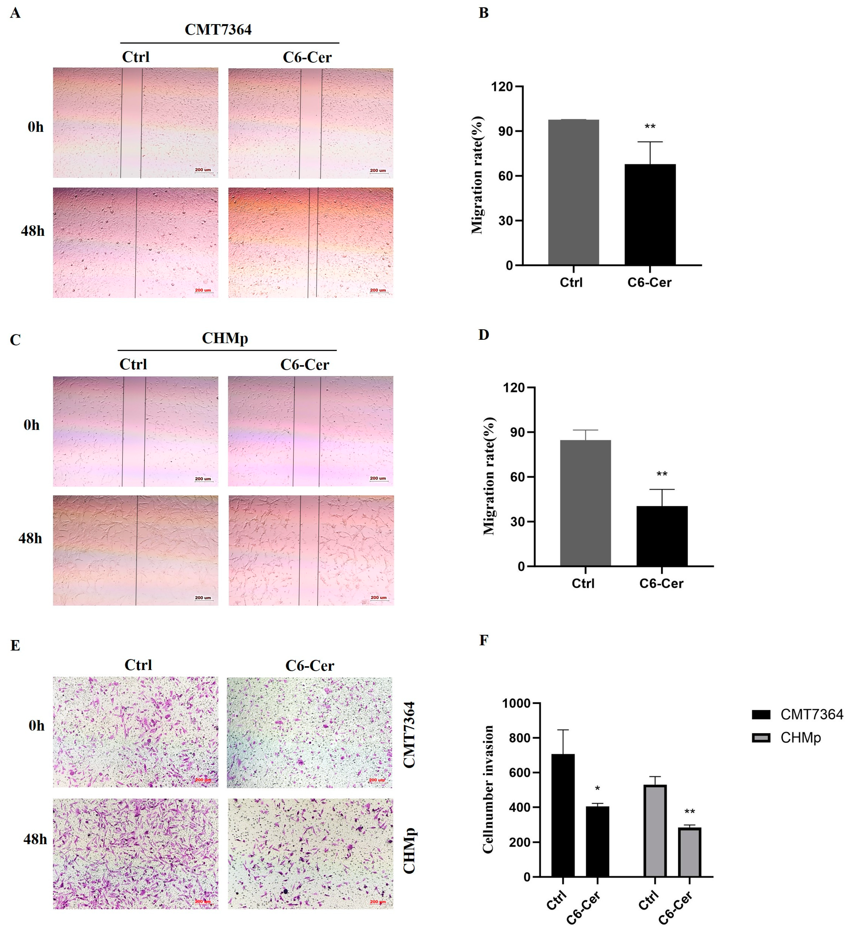 Animals 14 00422 g002