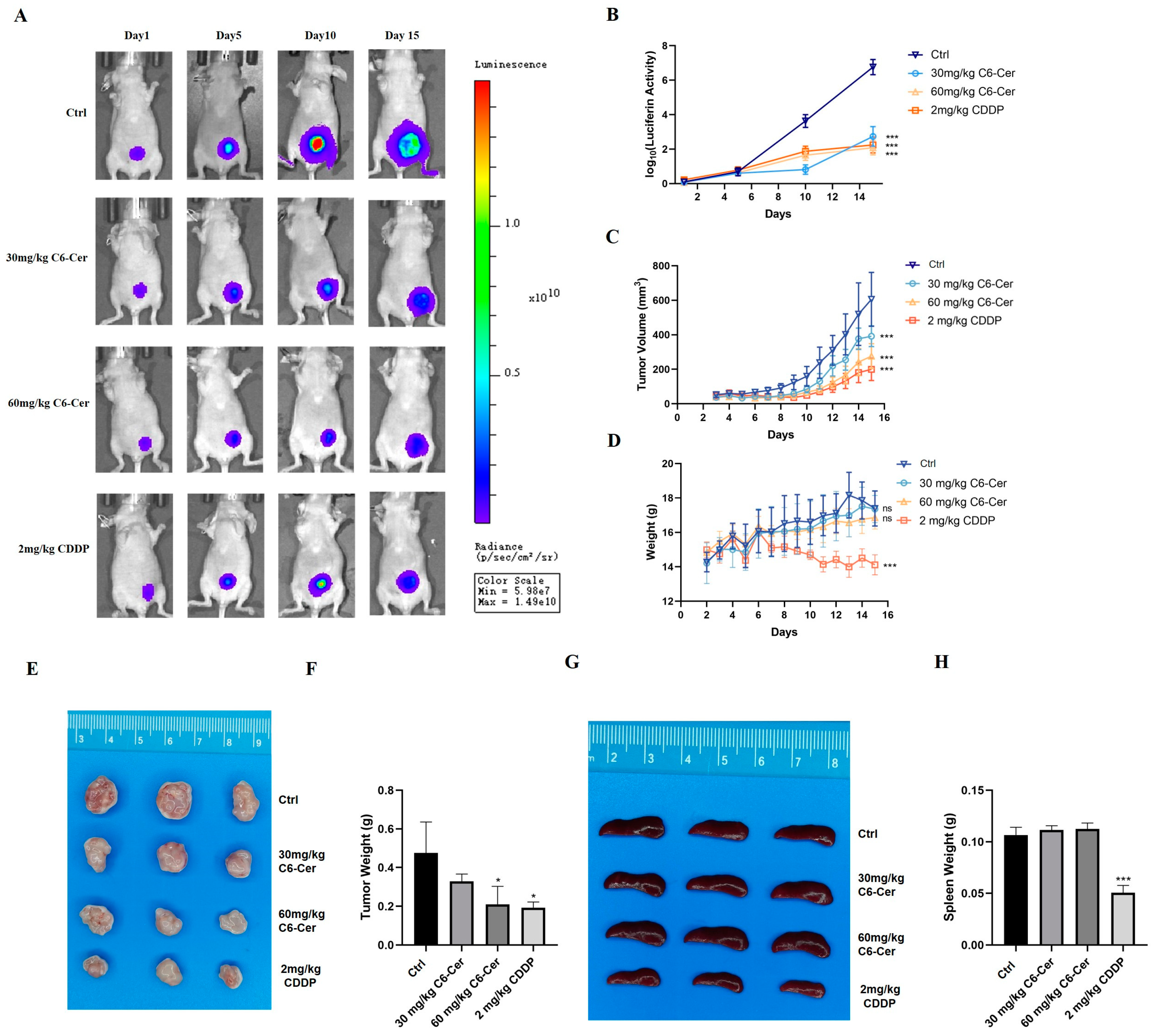 Animals 14 00422 g003