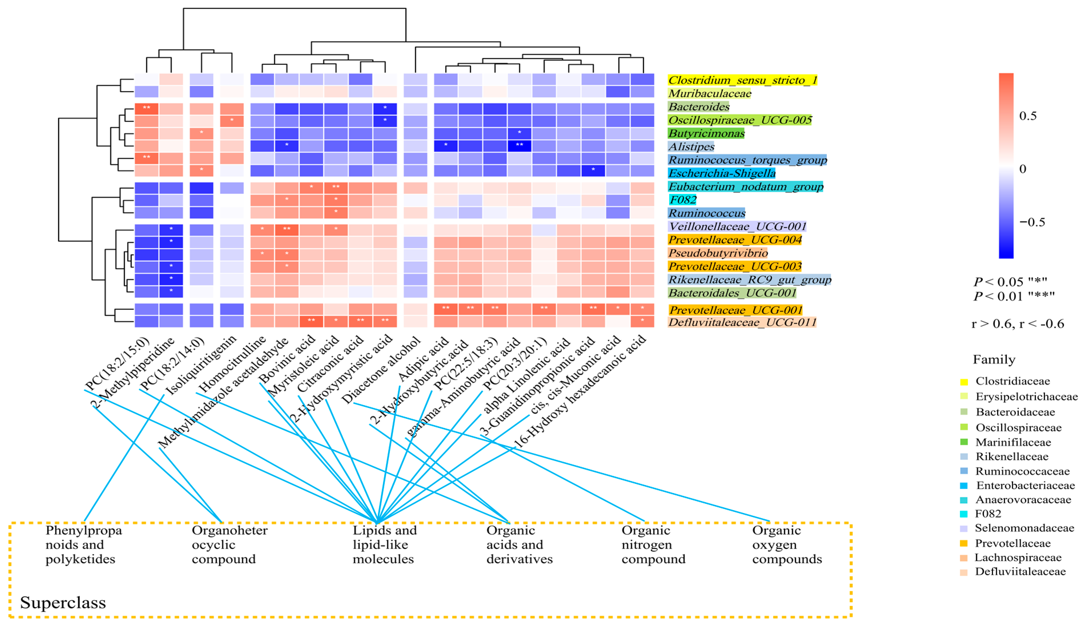 Animals 14 00425 g004
