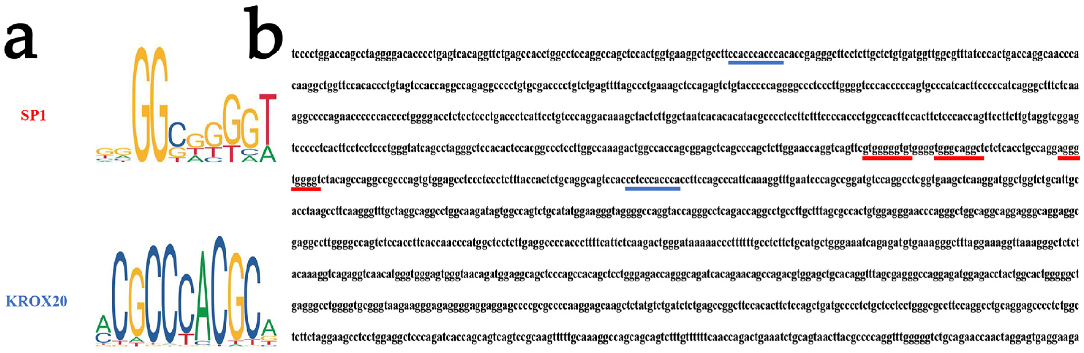 Animals 14 00429 g002 Animals 14 00429 g002