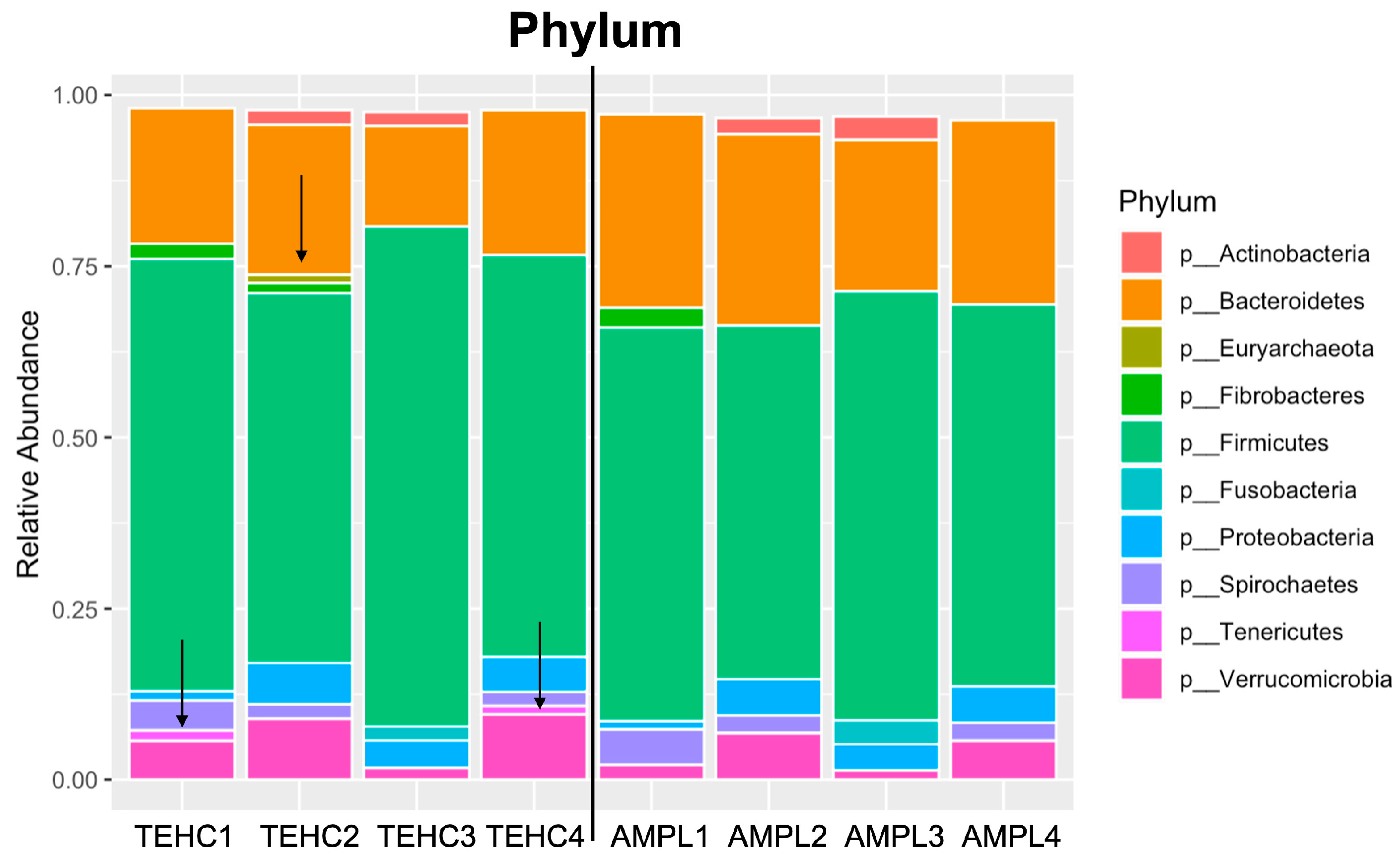 Animals 14 00445 g003