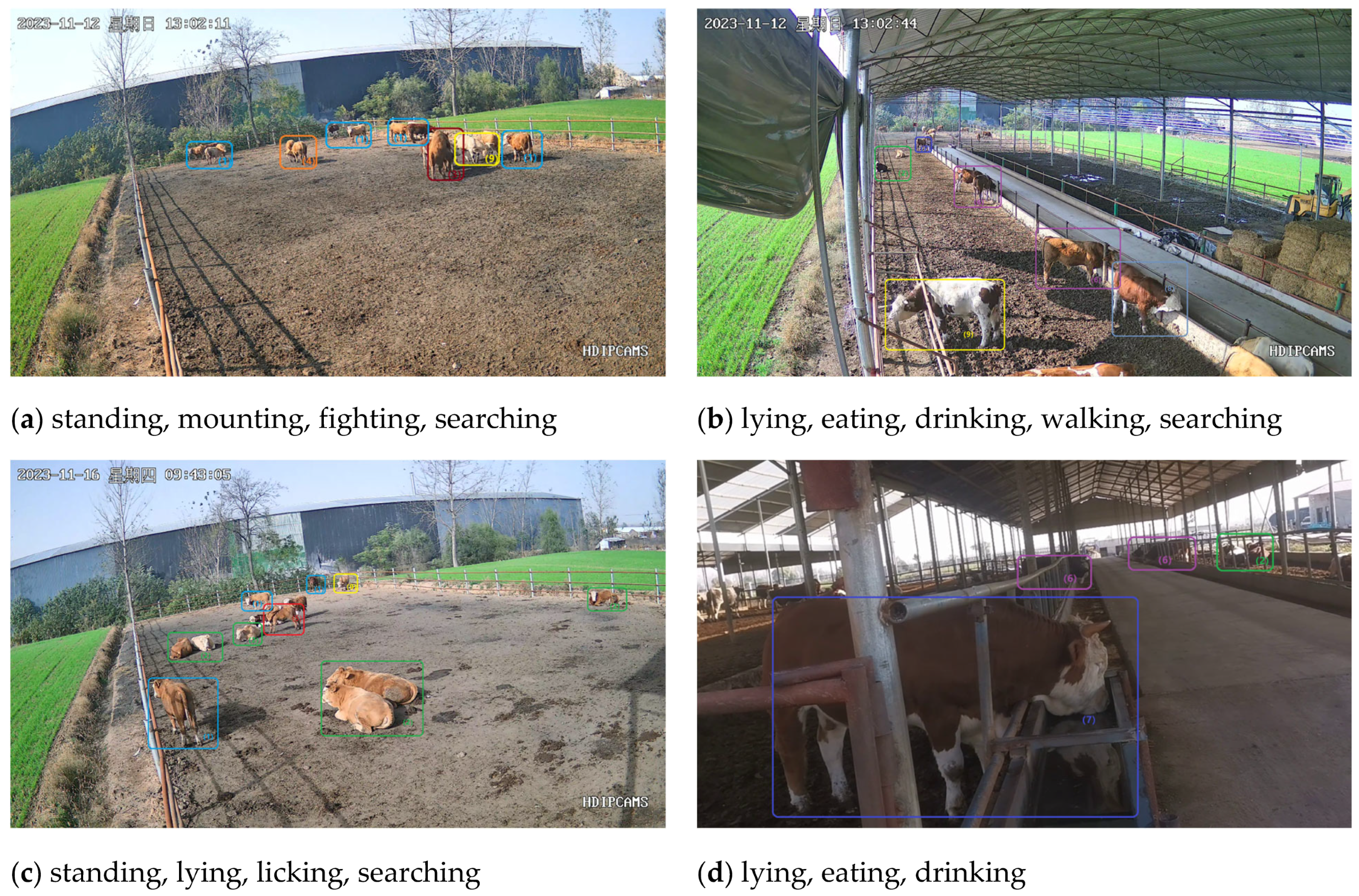 Animals 14 00466 g001