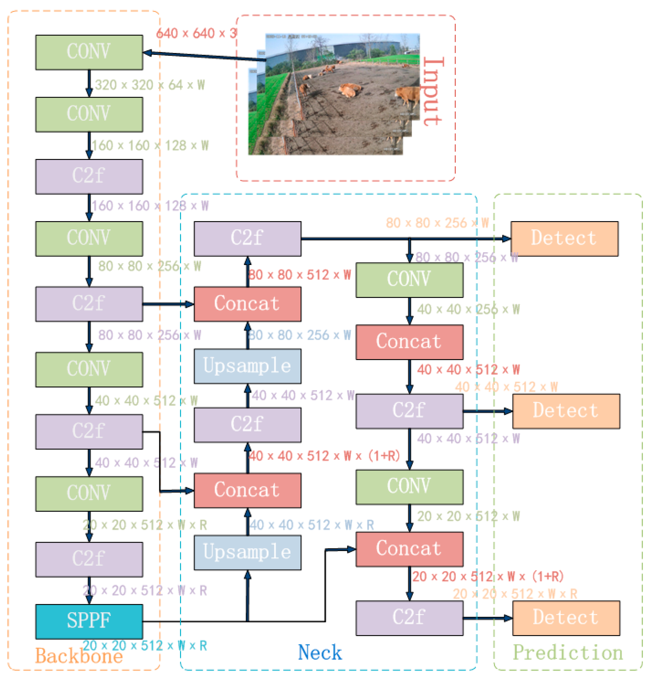 Animals 14 00466 g006