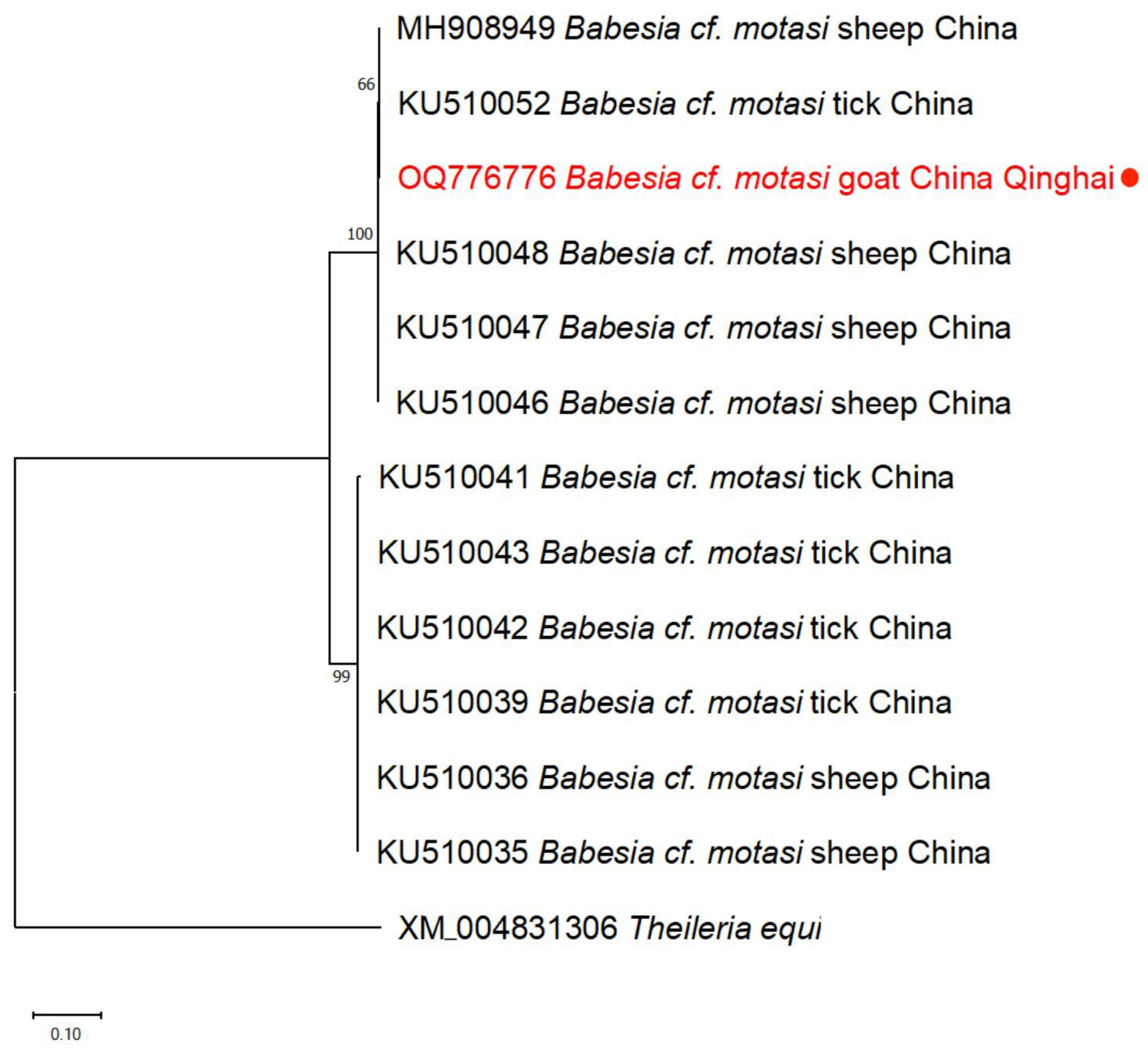 Animals 14 00476 g003