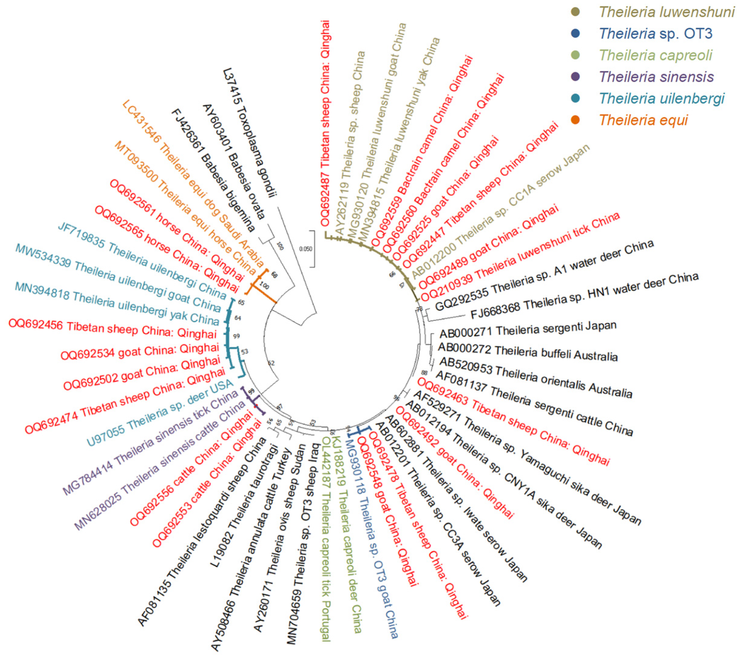 Animals 14 00476 g004