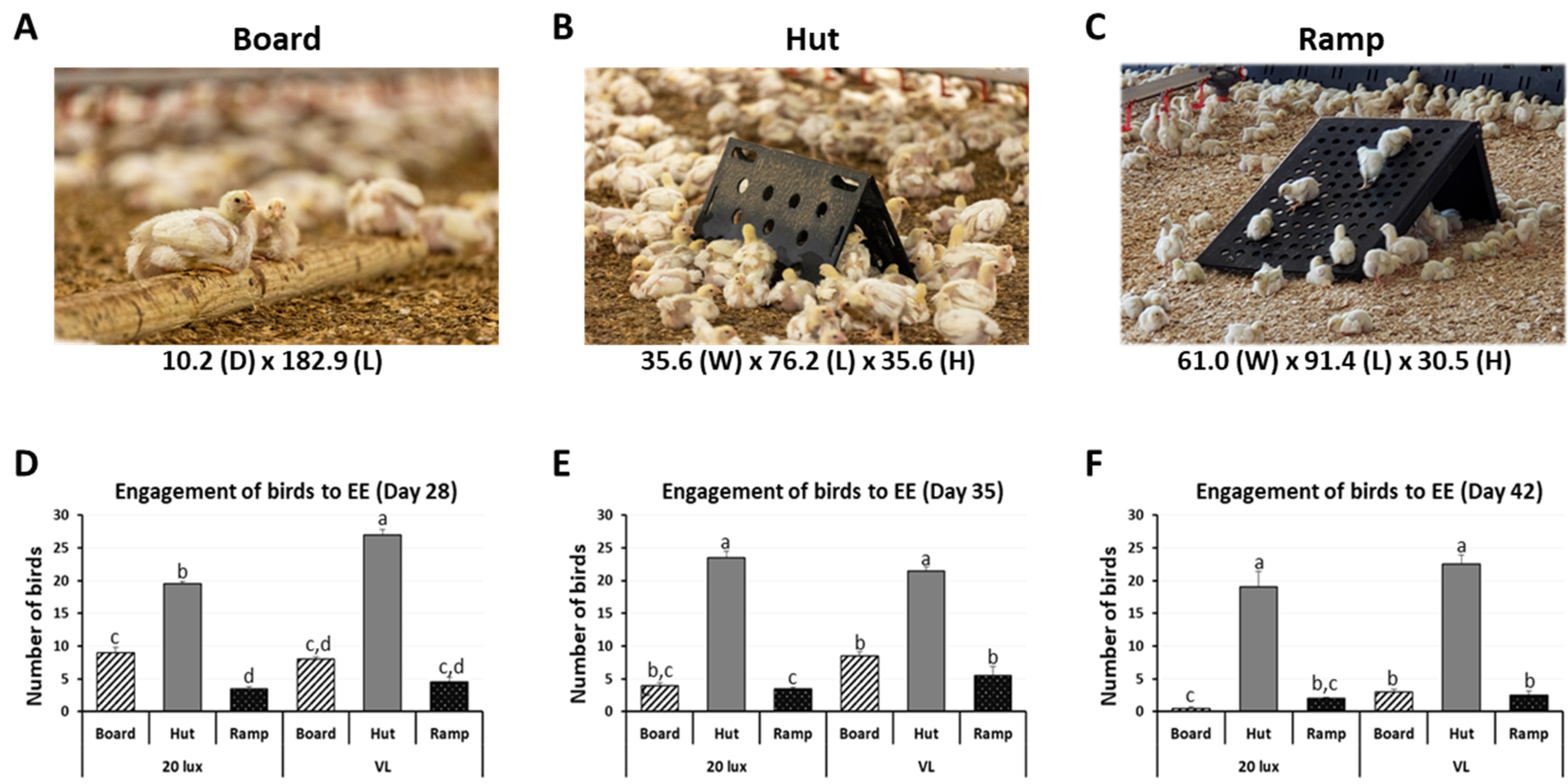 Animals 14 00557 g001