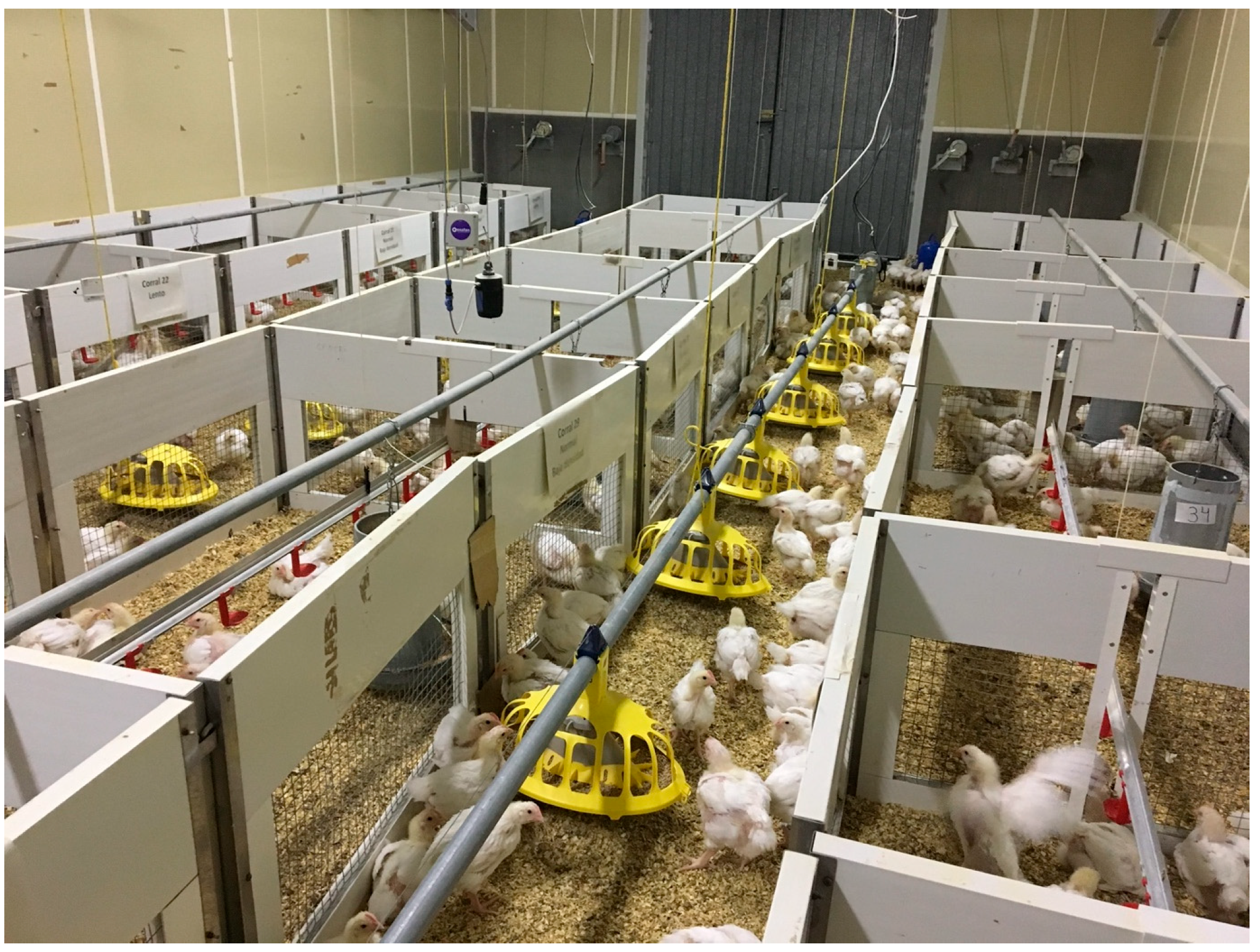 Animals 14 00615 g001