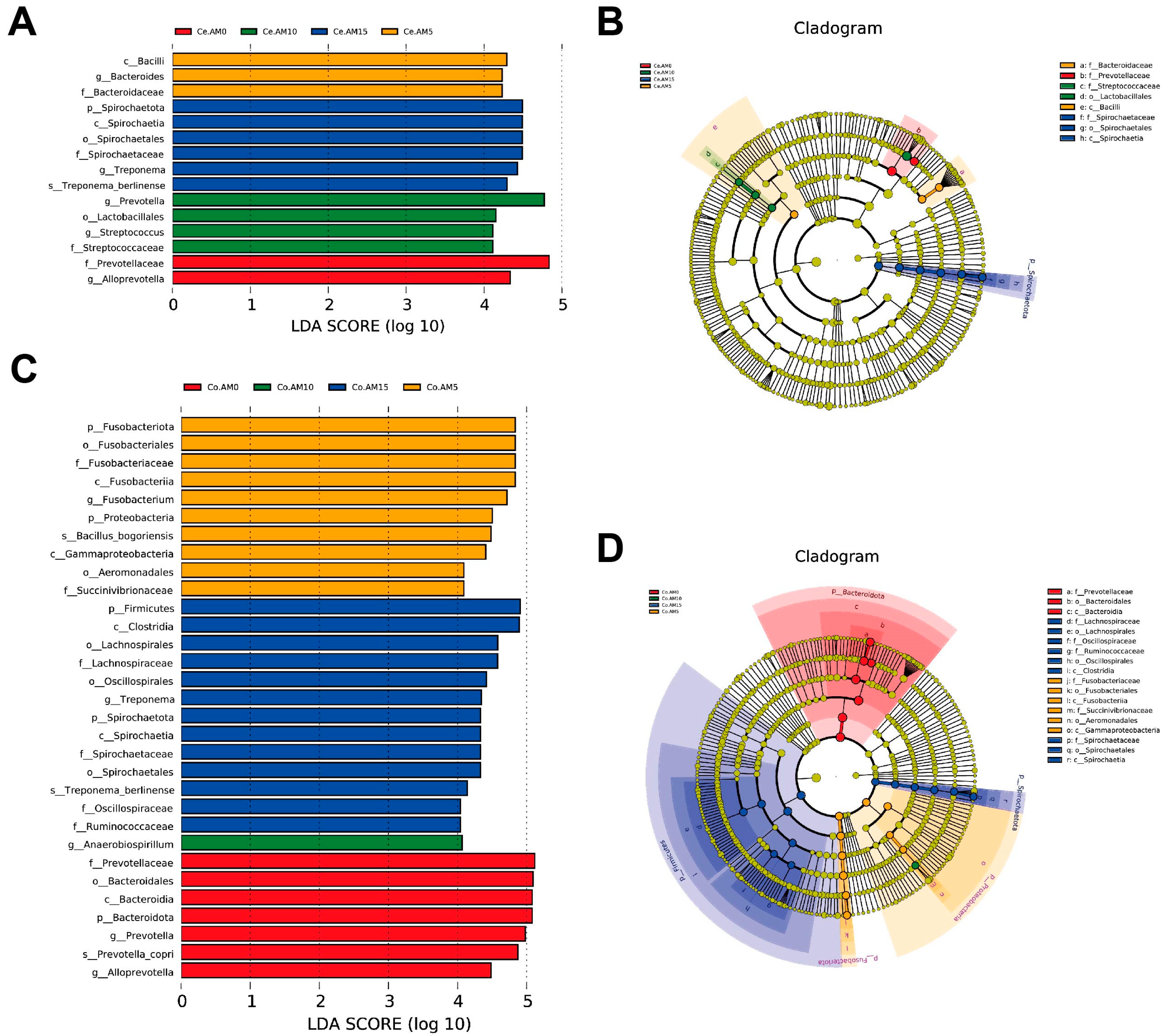 Animals 14 00623 g004