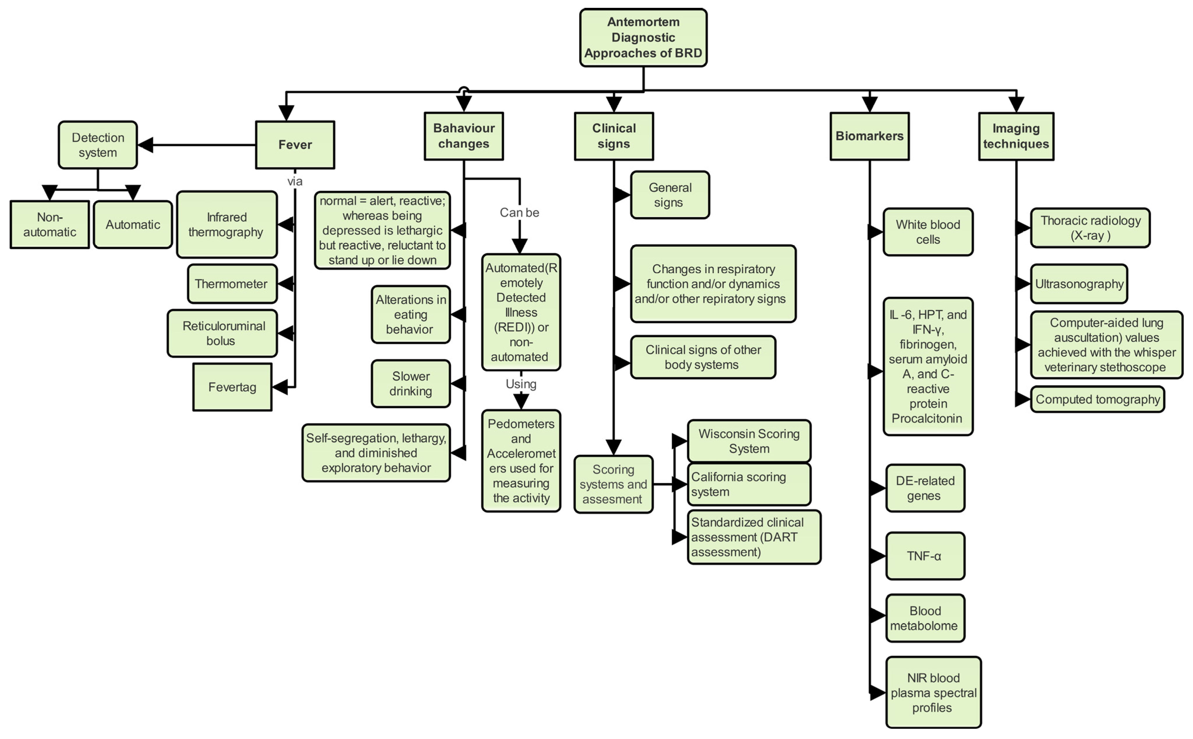 Animals | Free Full-Text | Strategies for Bovine Respiratory