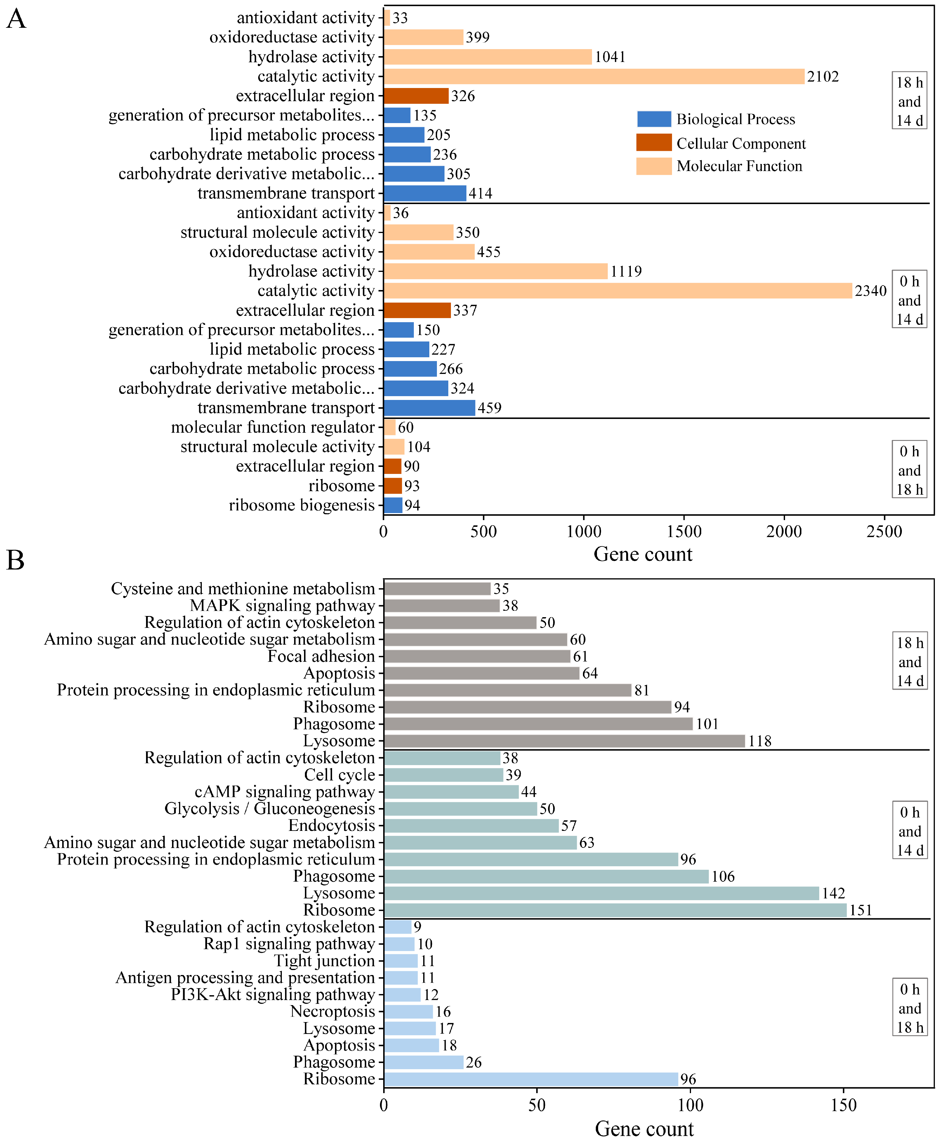 Animals 14 00685 g003