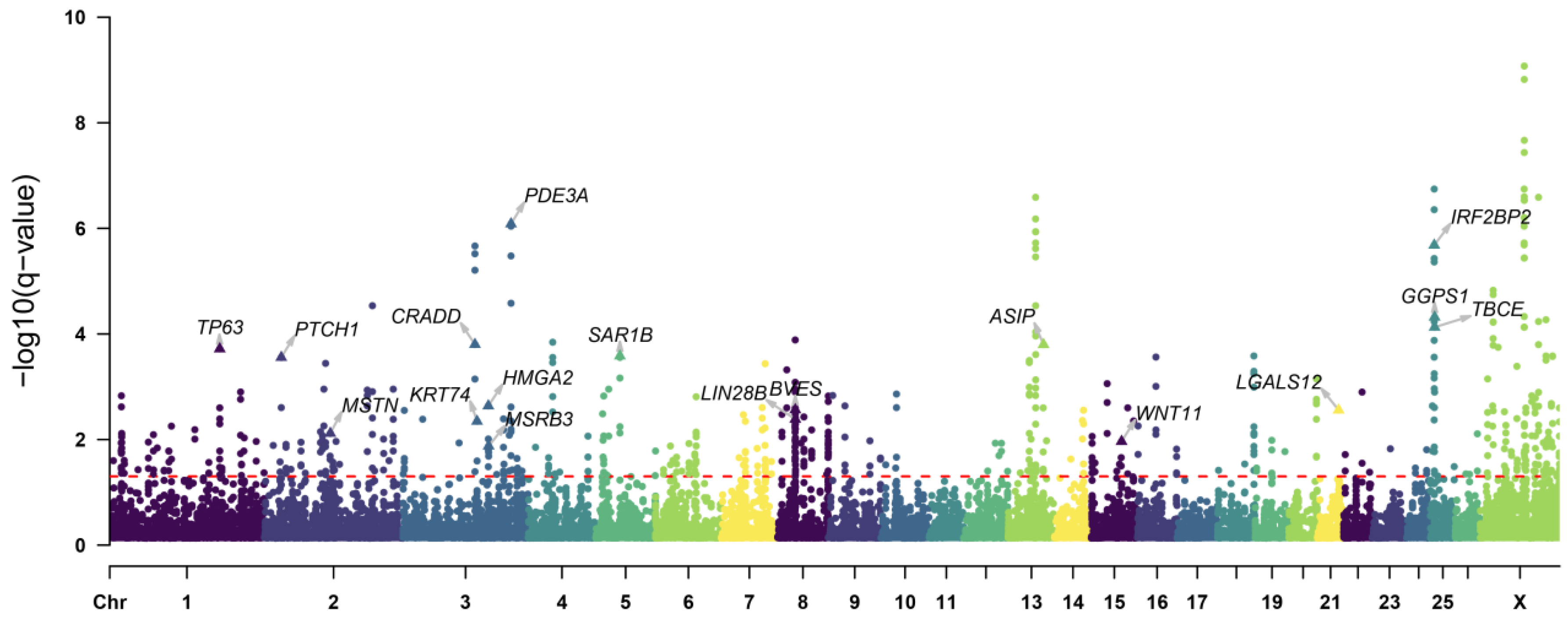 Animals 14 00687 g004