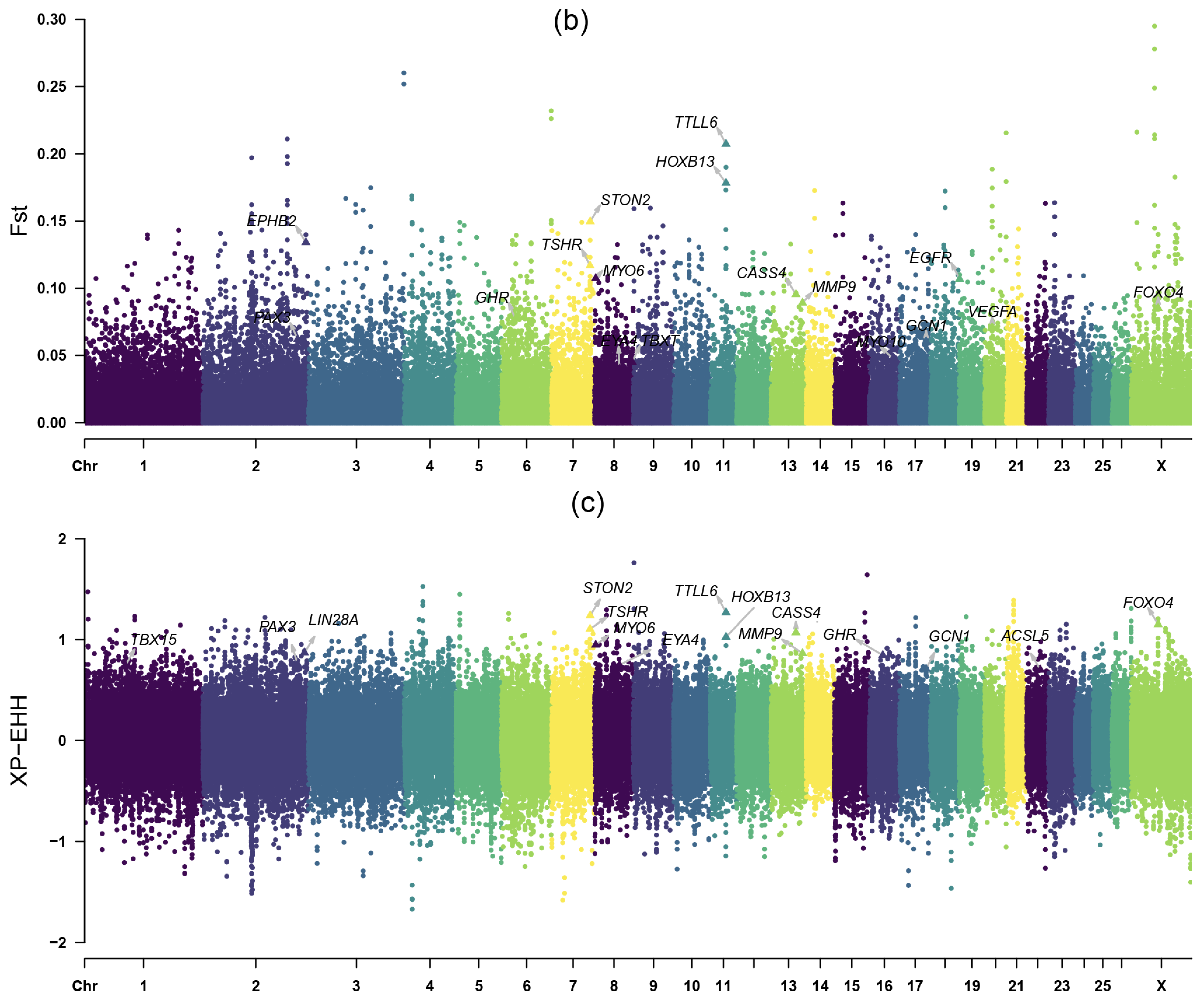 Animals 14 00687 g005b