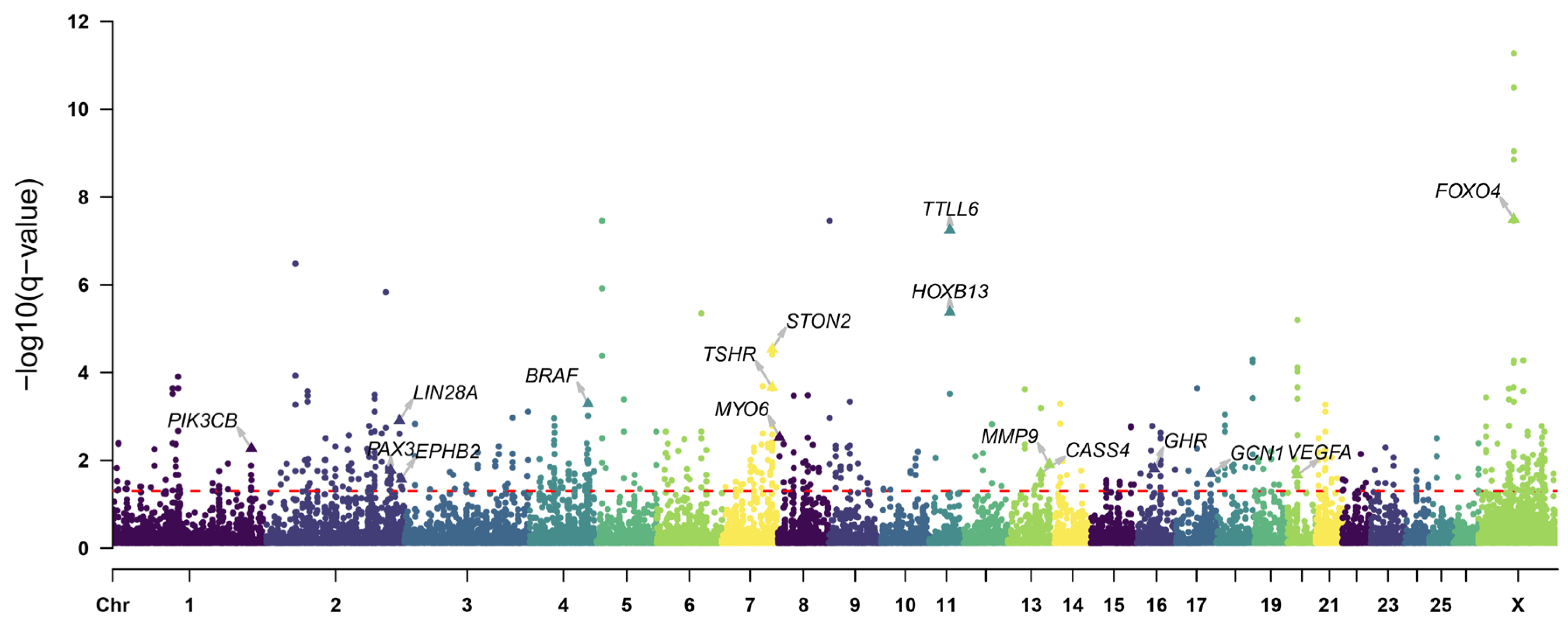 Animals 14 00687 g006