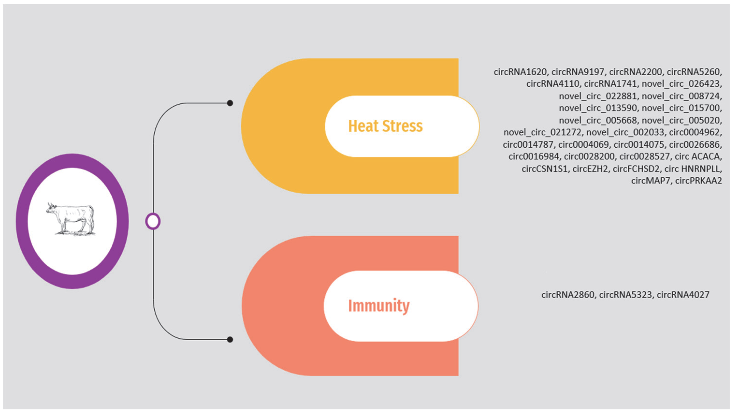 Animals 14 00733 g002