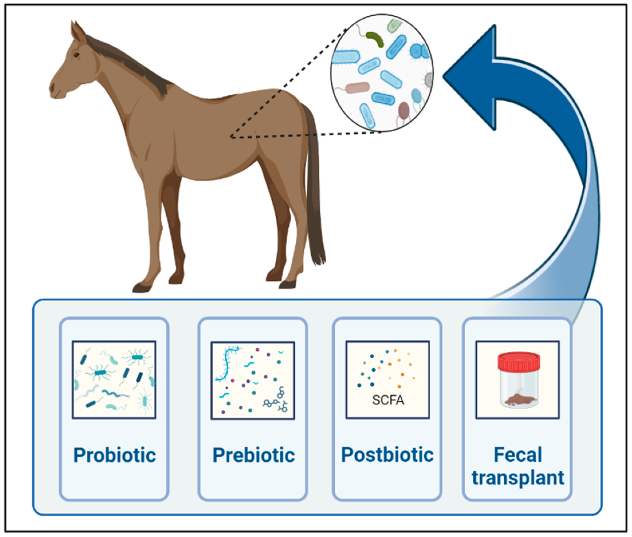 Animals 14 00758 g002