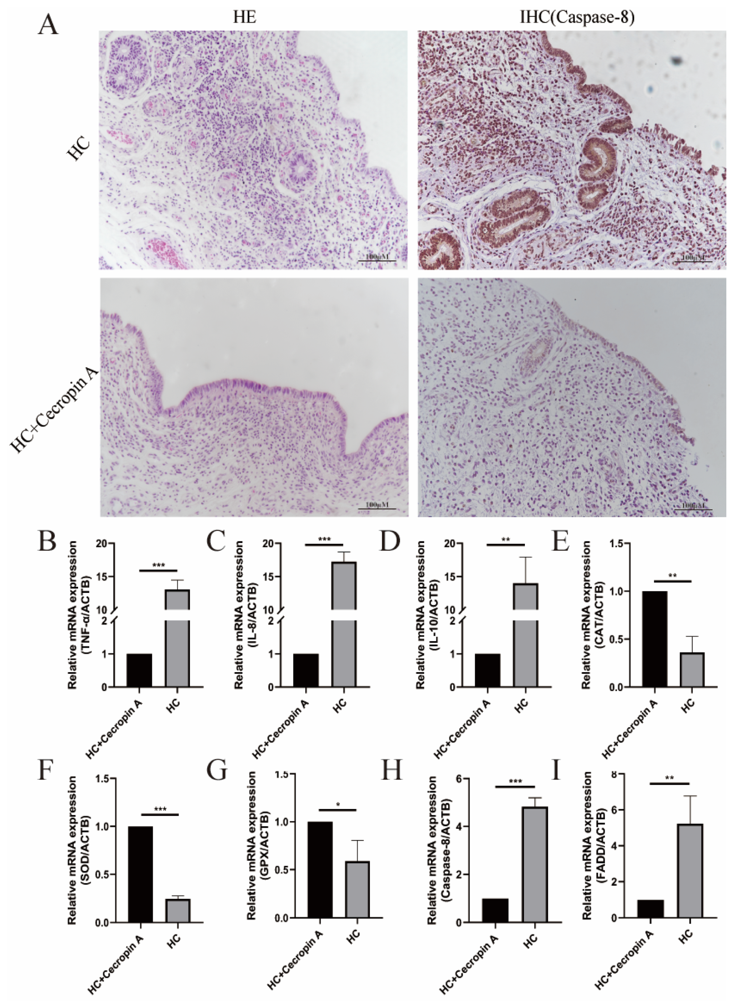 Animals 14 00768 g002 Animals 14 00768 g002