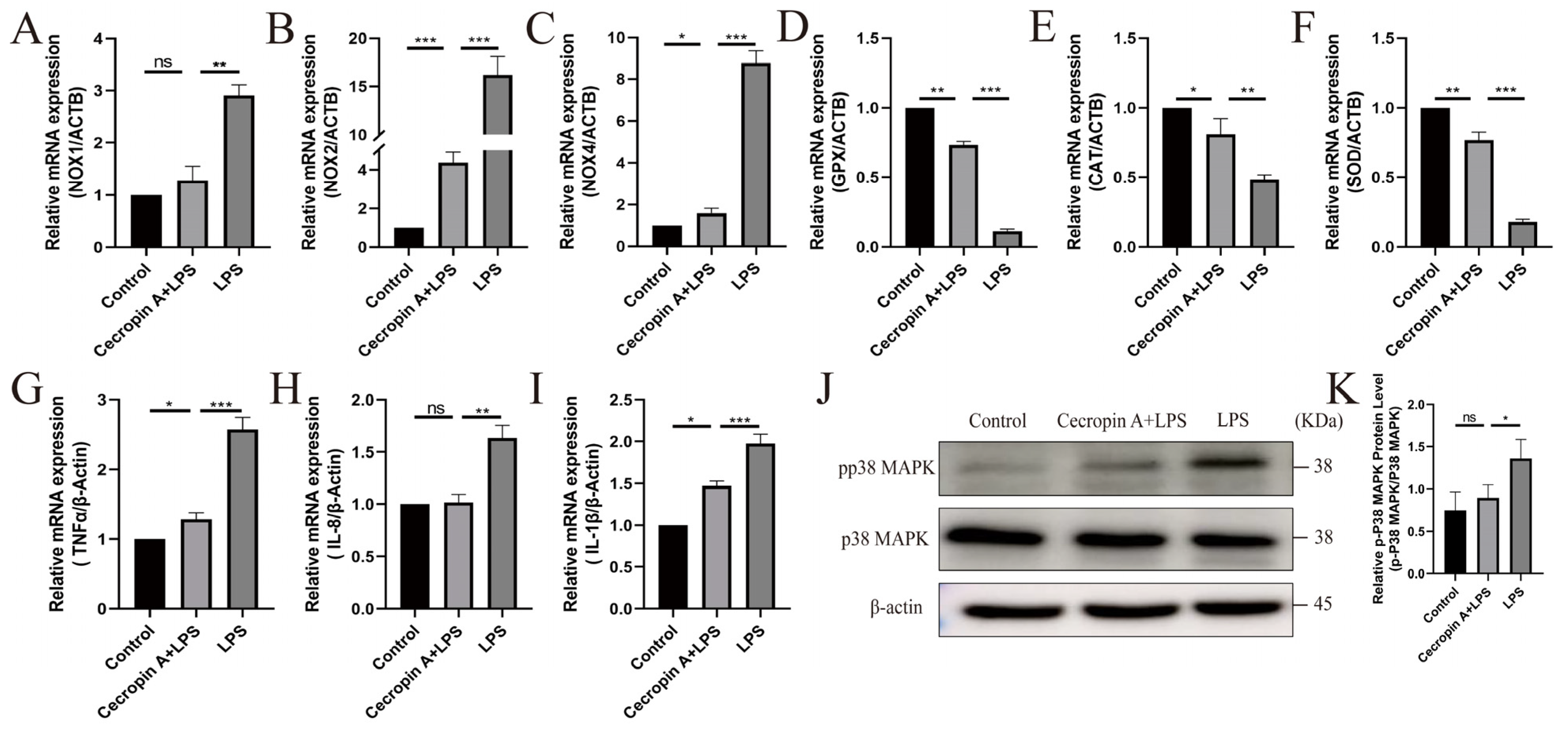 Animals 14 00768 g004 Animals 14 00768 g004