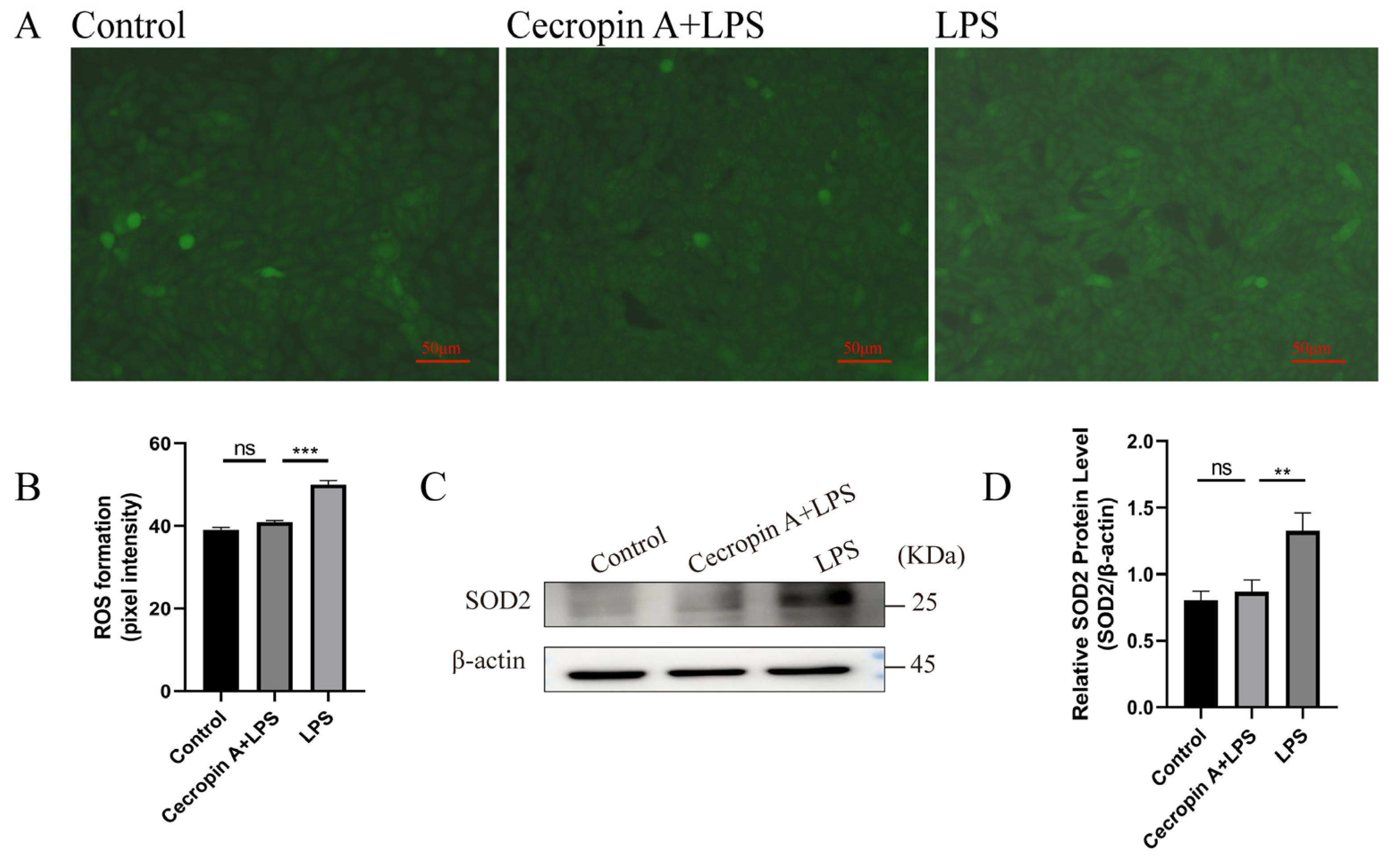 Animals 14 00768 g005 Animals 14 00768 g005