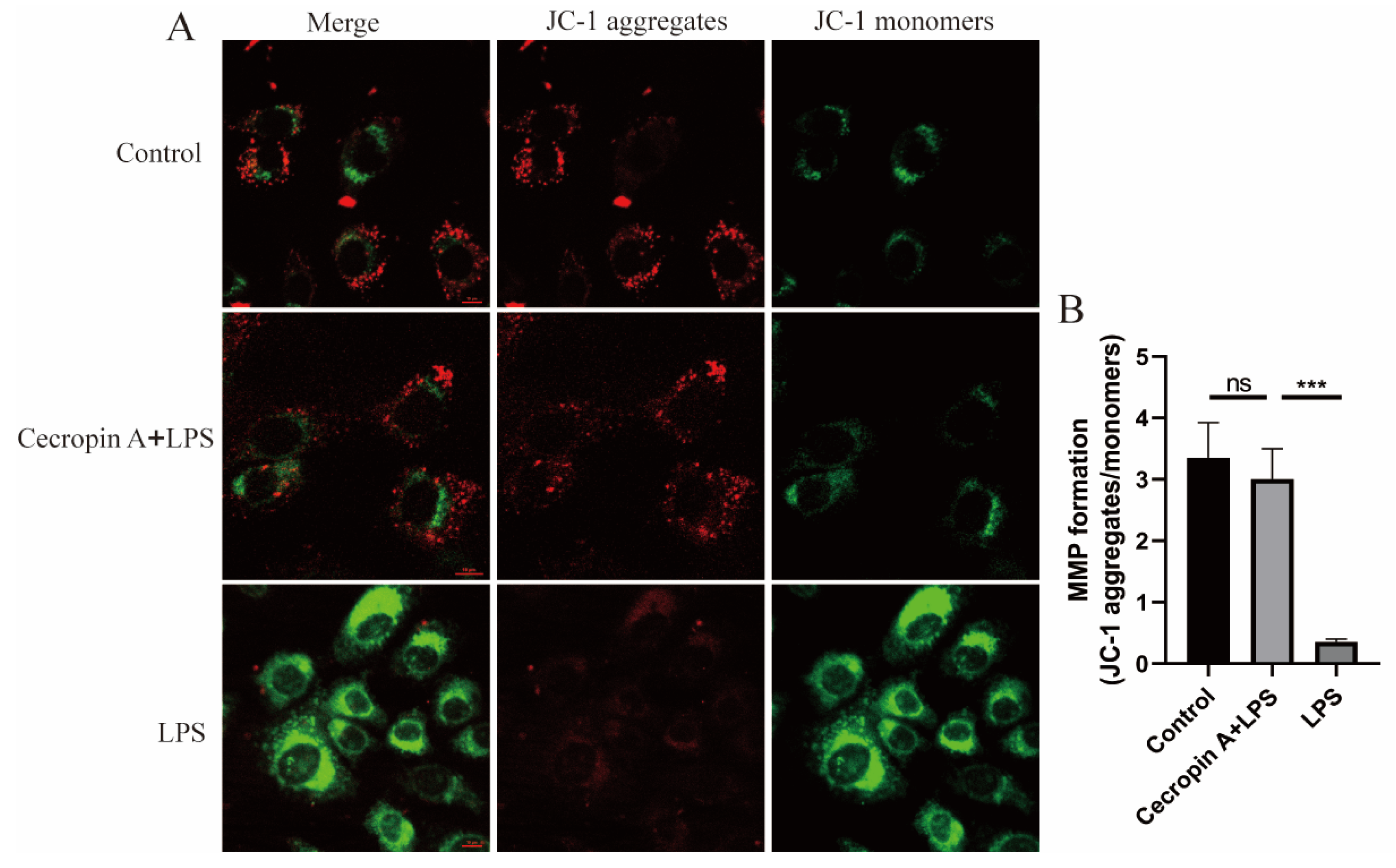 Animals 14 00768 g006 Animals 14 00768 g006